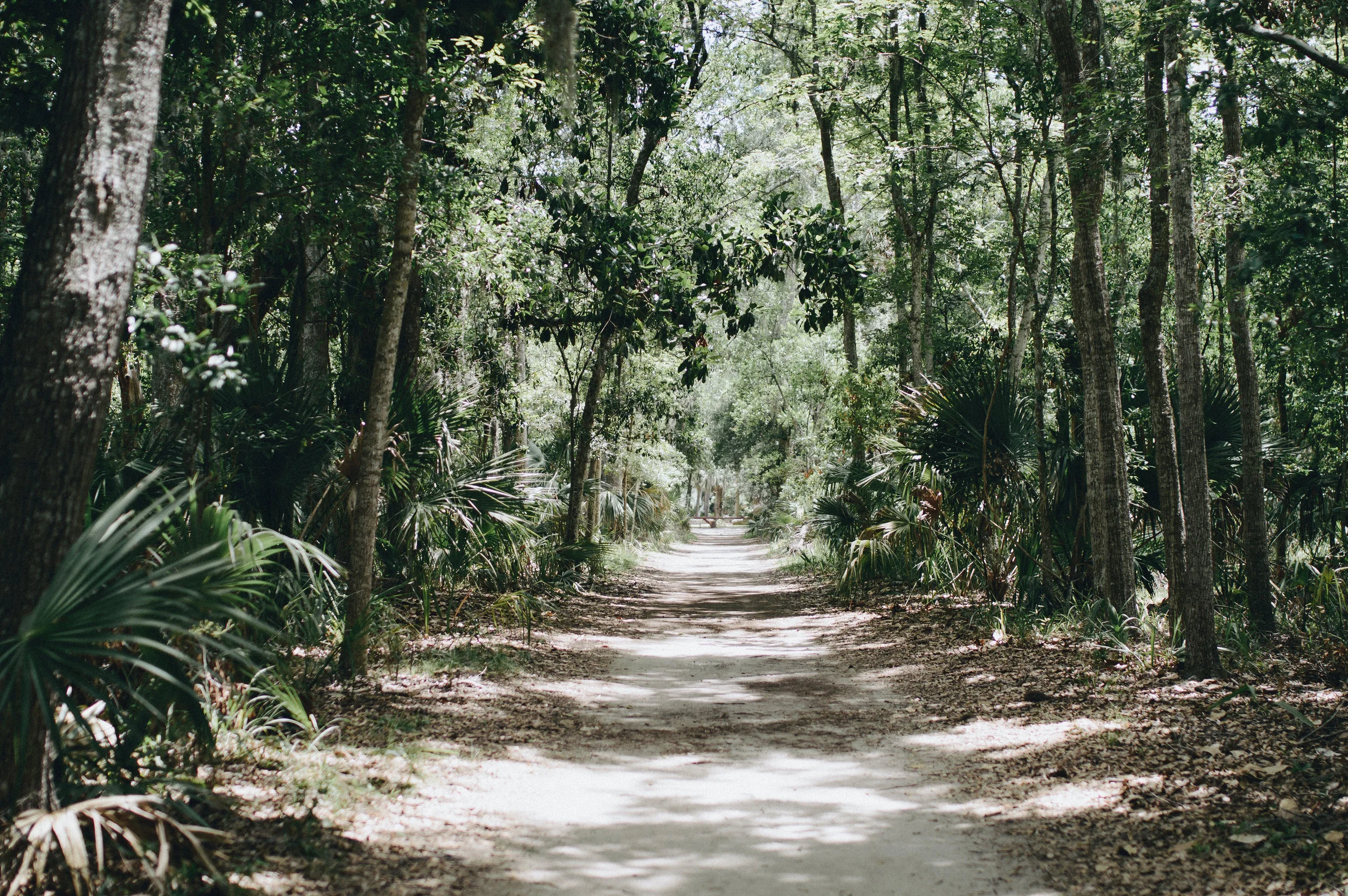 Wormsloe-Bonaventure---EDITS-14-1.jpg