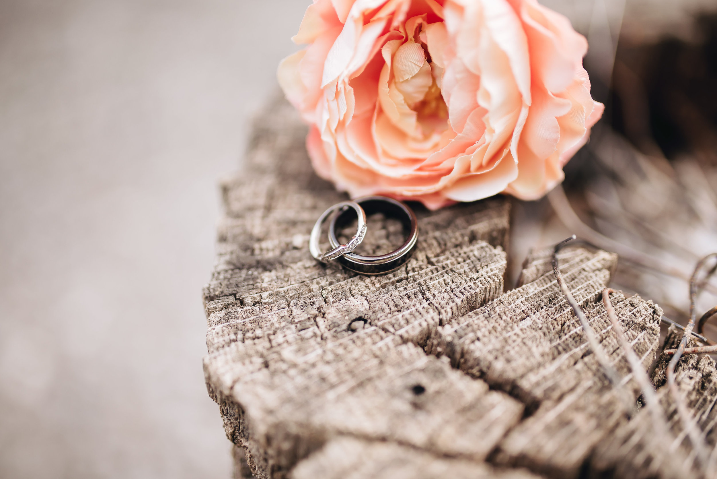 Shelly and Keith Wedding - EDITS-0024.jpg
