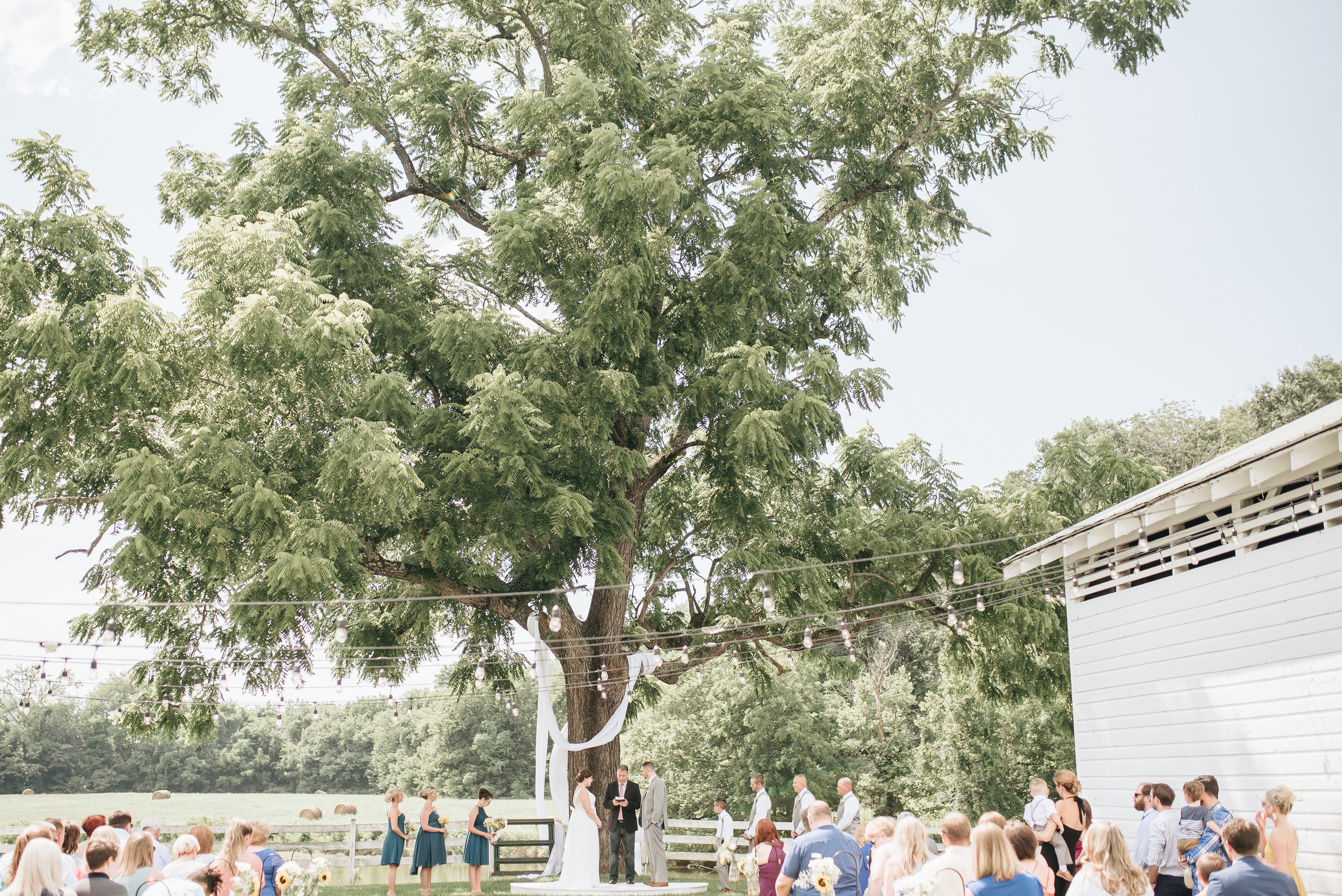 Cara and Shaun Wedding - EDITS-0197 - Copy.jpg