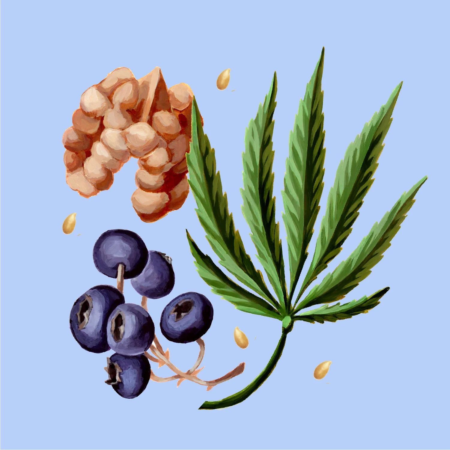 Website_vignette-02.jpg
