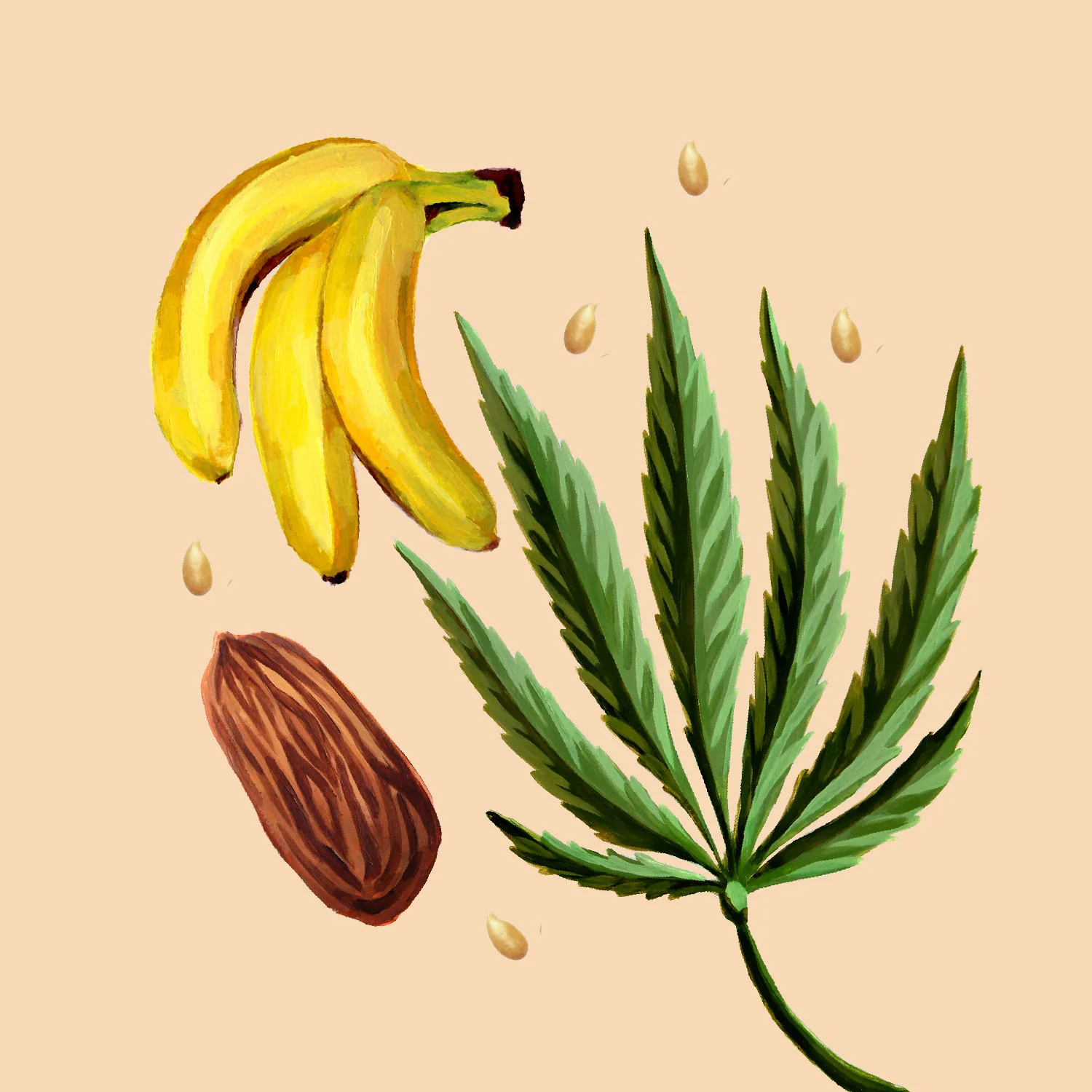Website_vignette-04.jpg