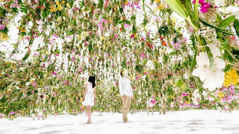 flower2.jpg