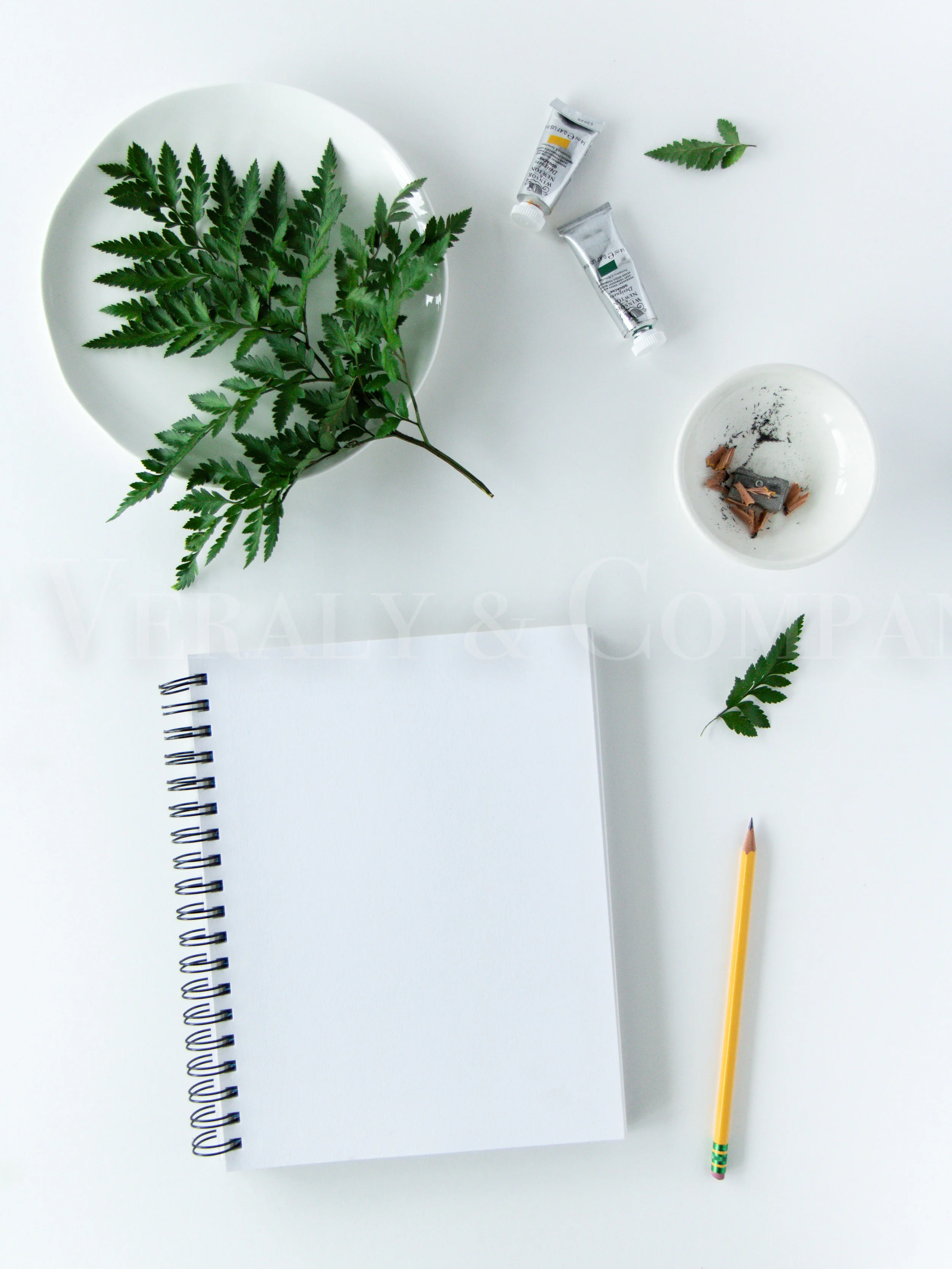 Botany I-5.jpg