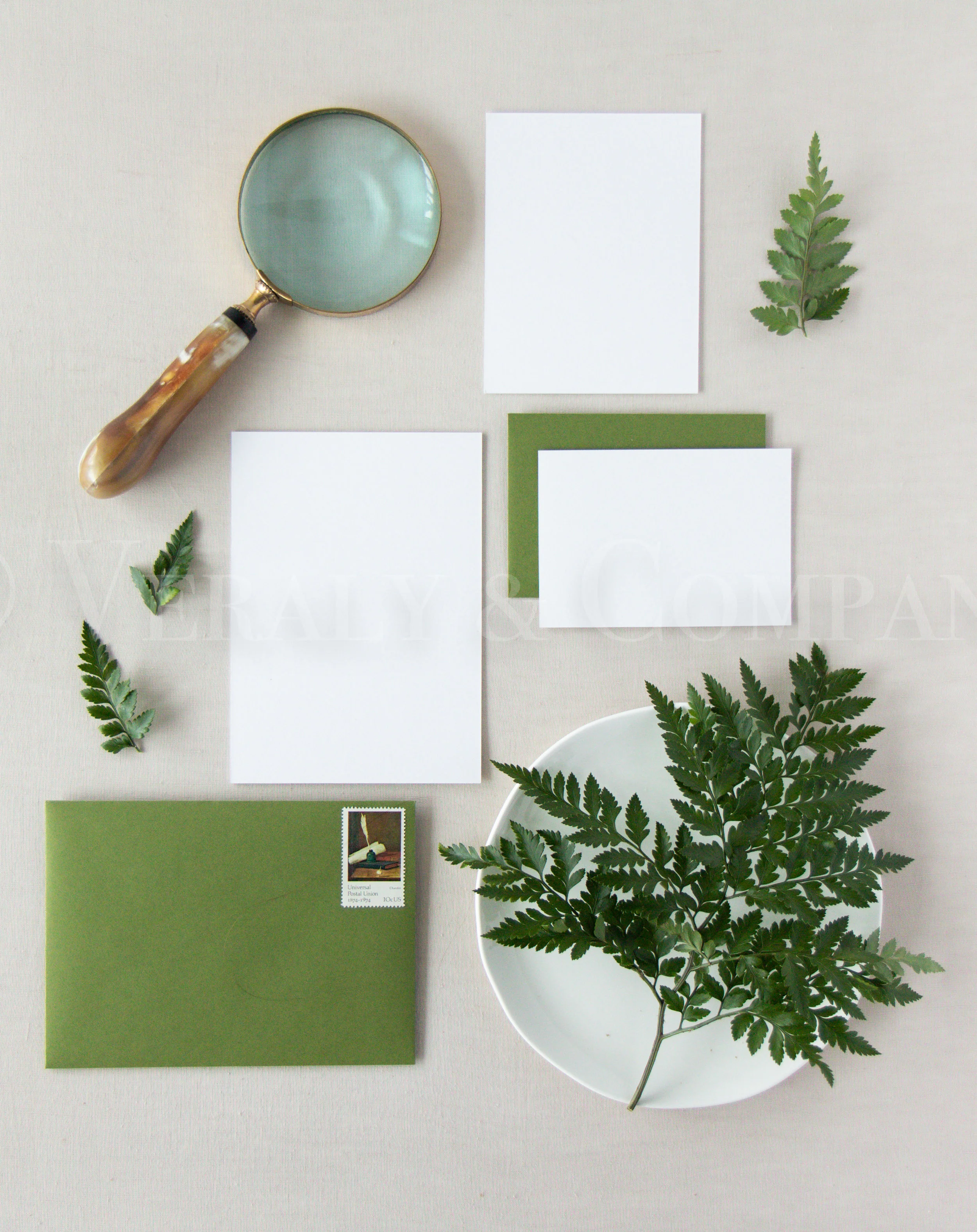 Fern I-1.jpg