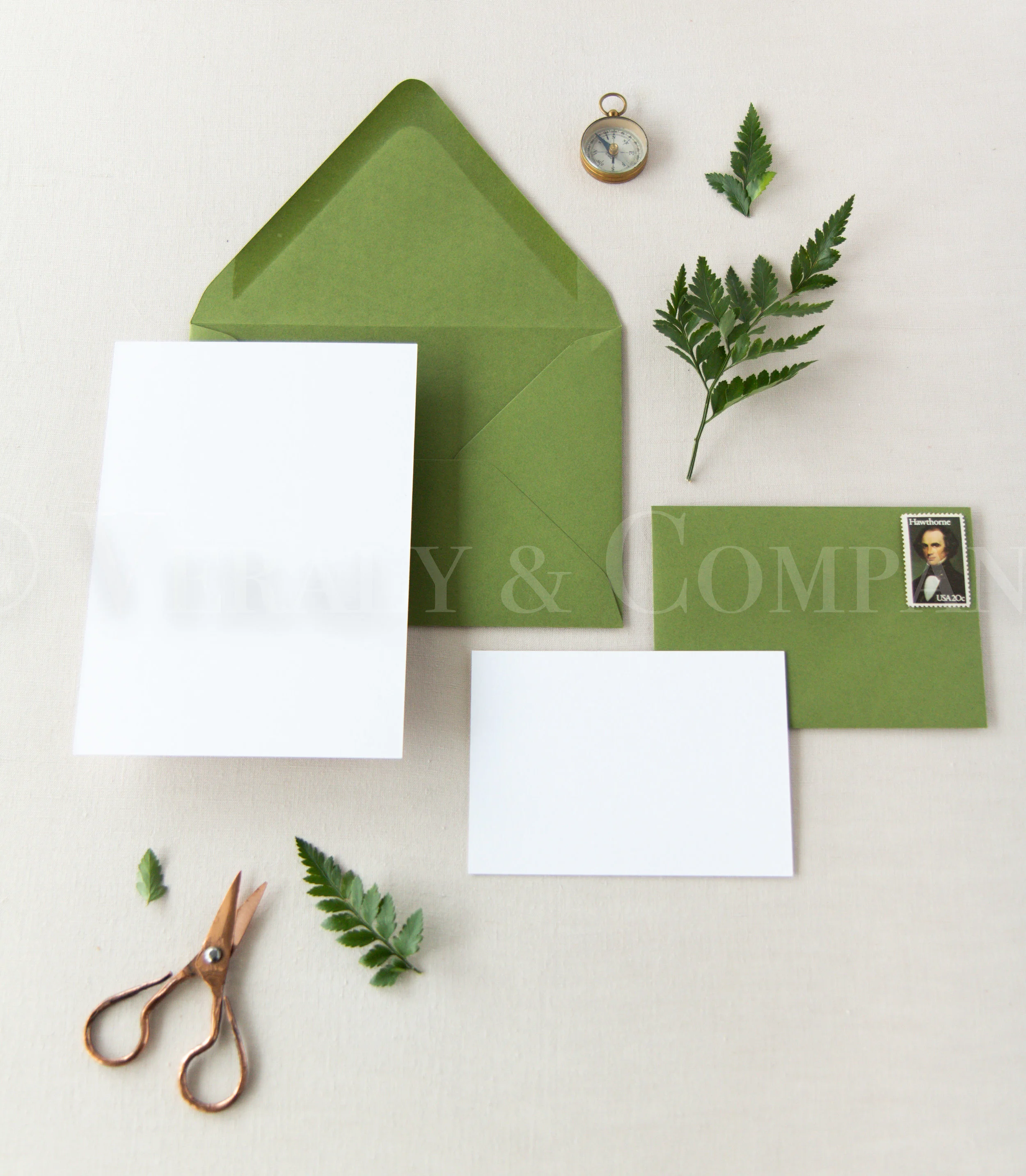 Fern I-13.jpg