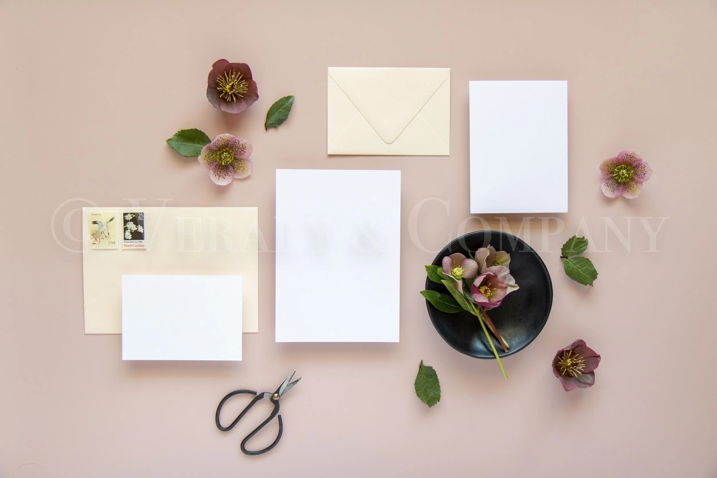 Hellebore Watermark-1.jpg