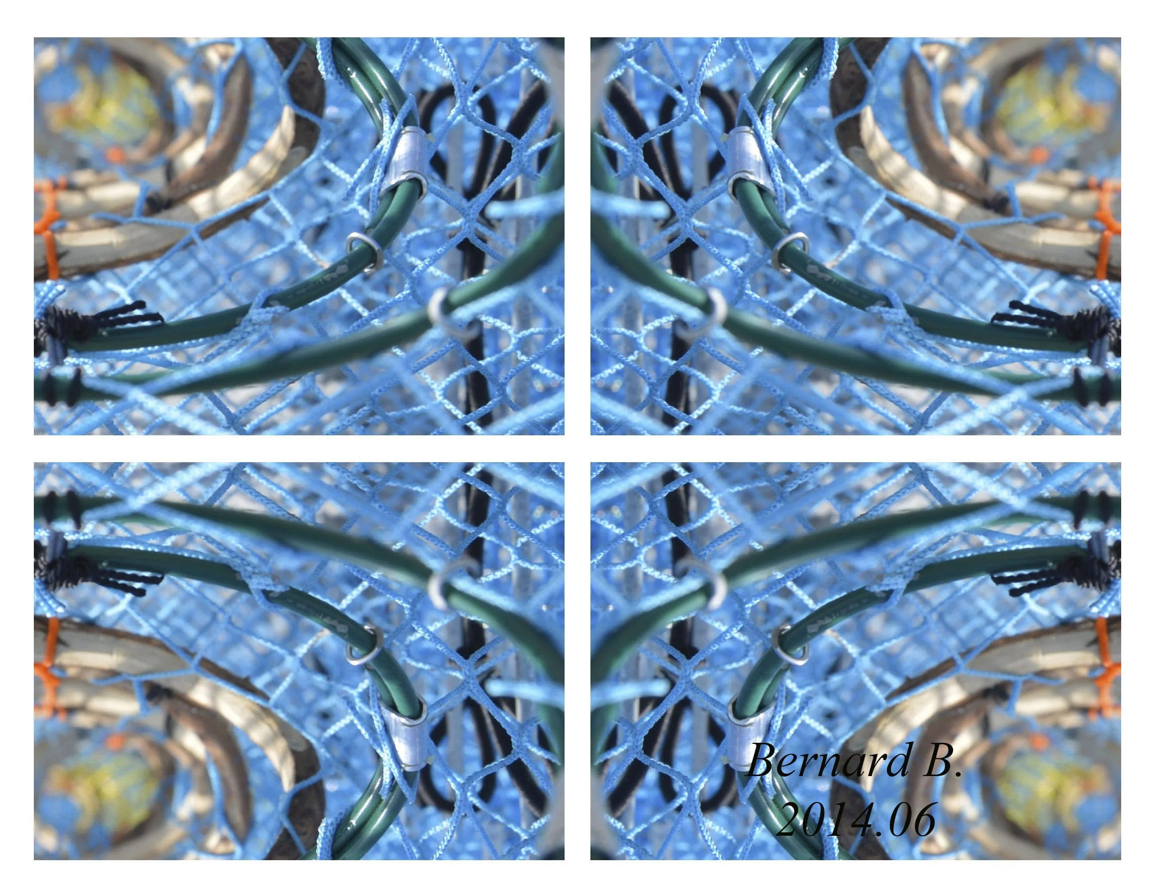 Bleue-1 6398 (2014.06)