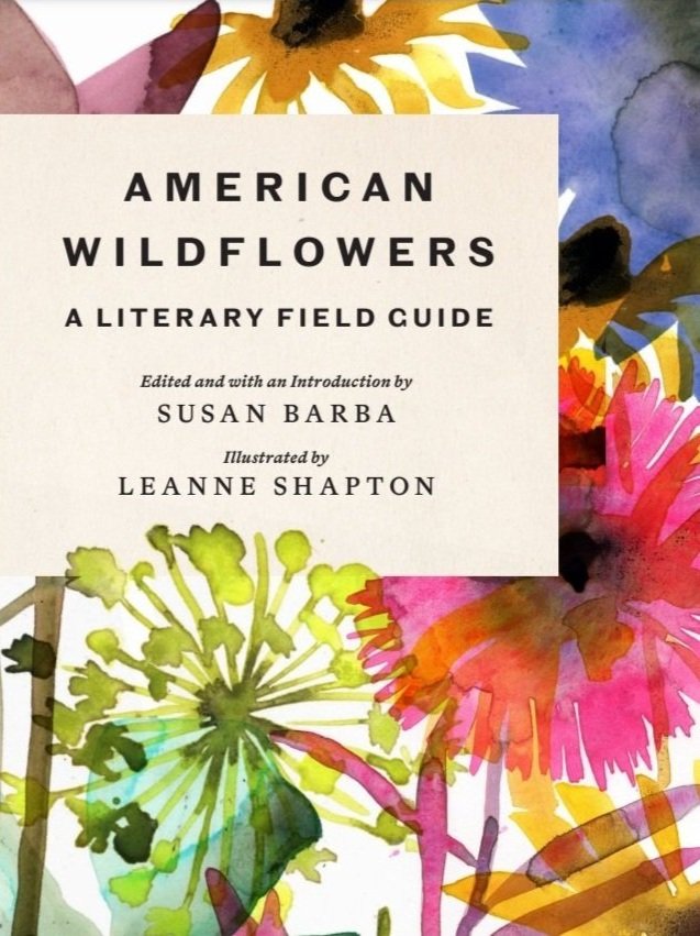 American Wildflowers