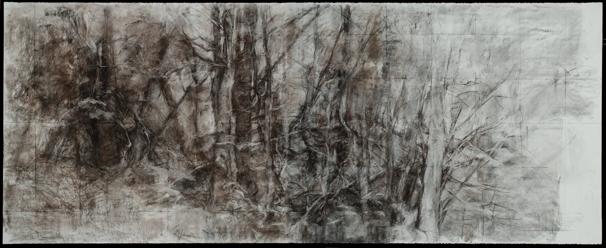Cedar Grove, Immersion, Charcoal on paper 38" x 96", 2011