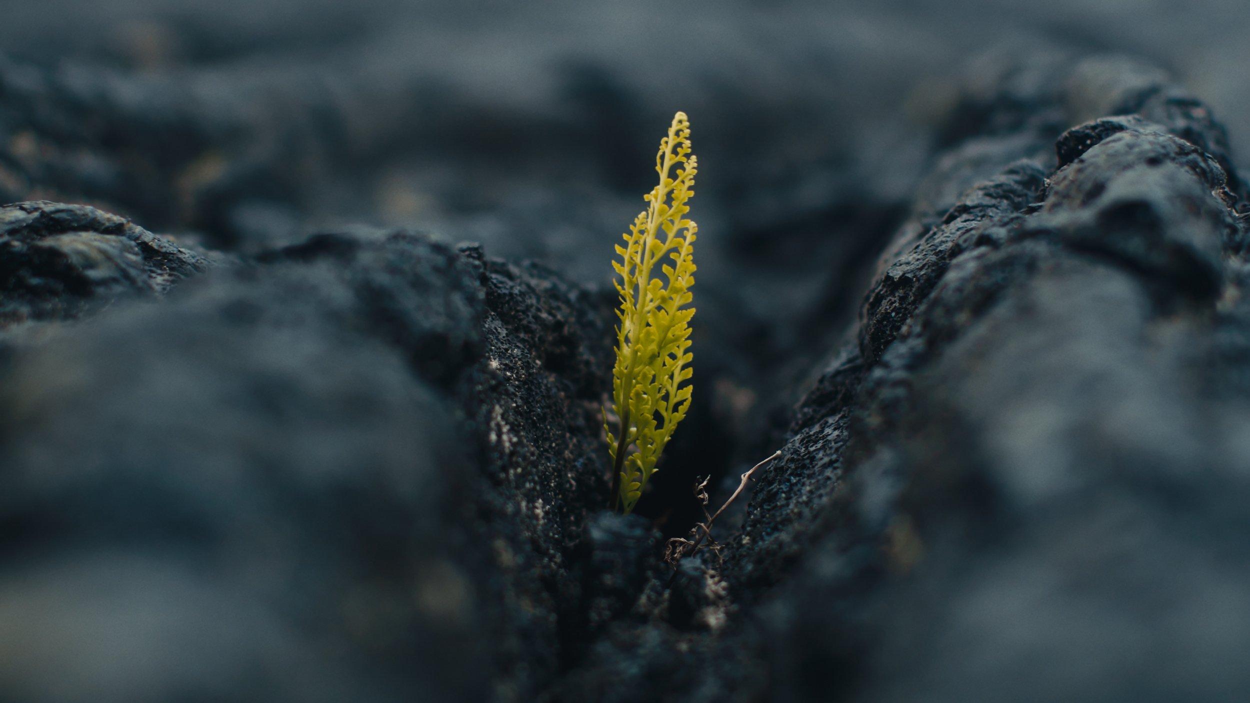 Untitled_1.137.1.jpg