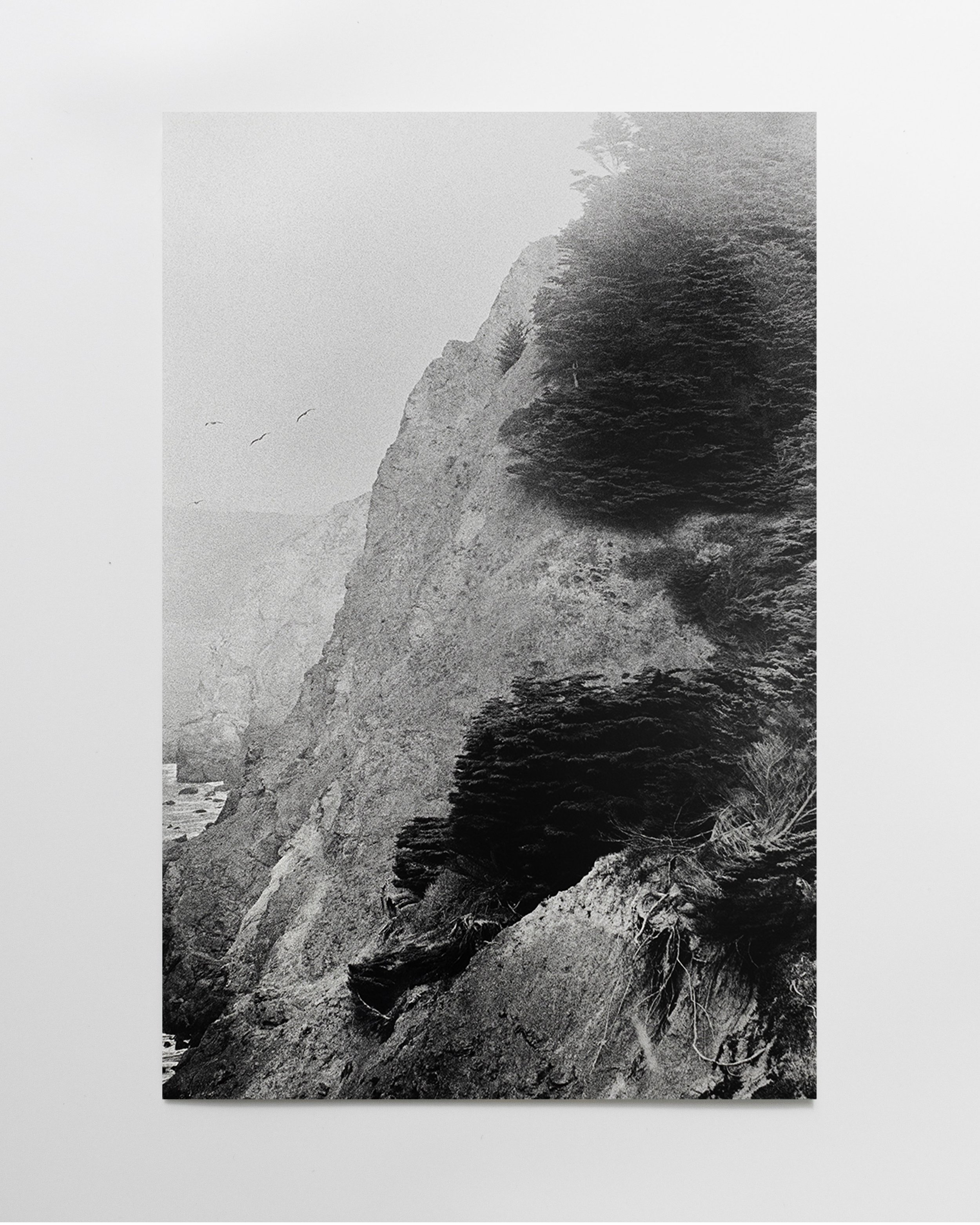 Flutter 18, 2024,
Silver Gelatin on aluminum composite,
39 x 26 inches
