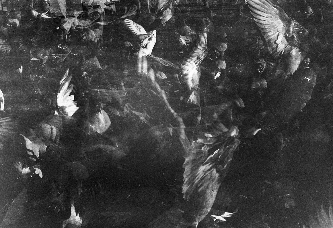 Some Sorta Paradise #1, Gelatin Silver, 40 x 26.5 inches