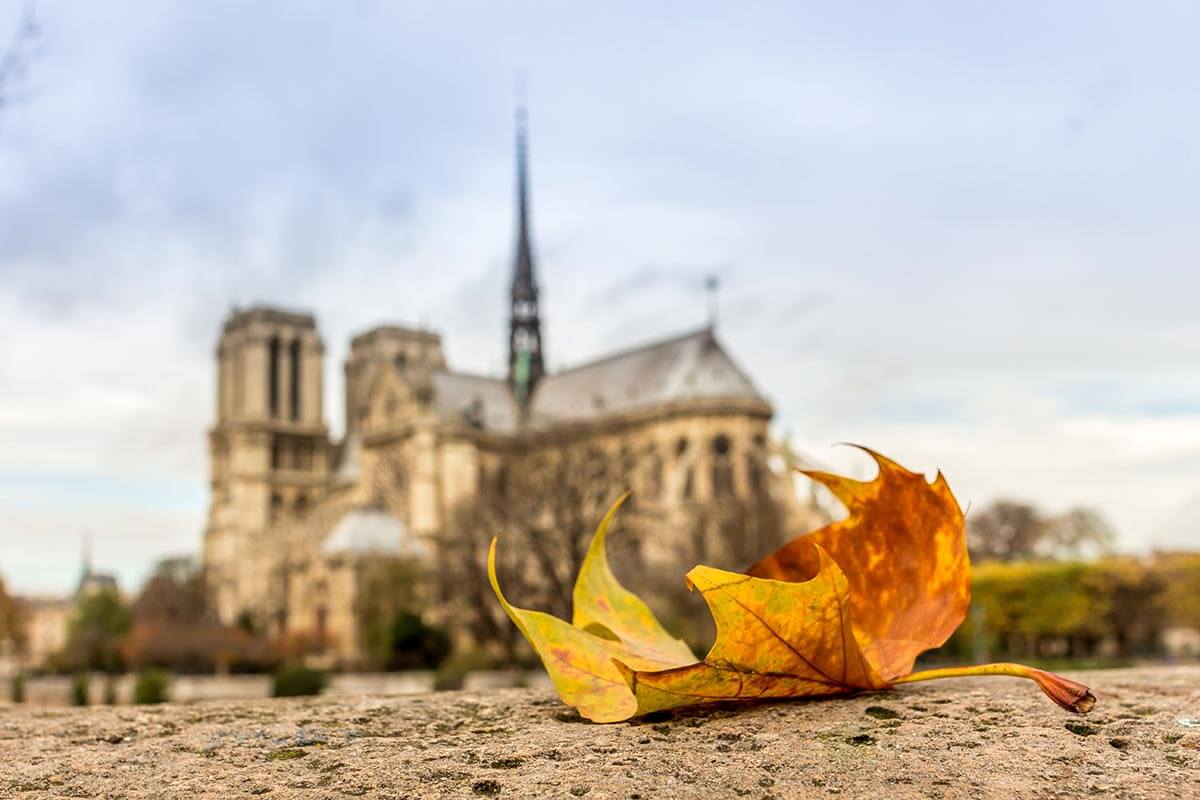 Autumn-in-Paris-14.jpg
