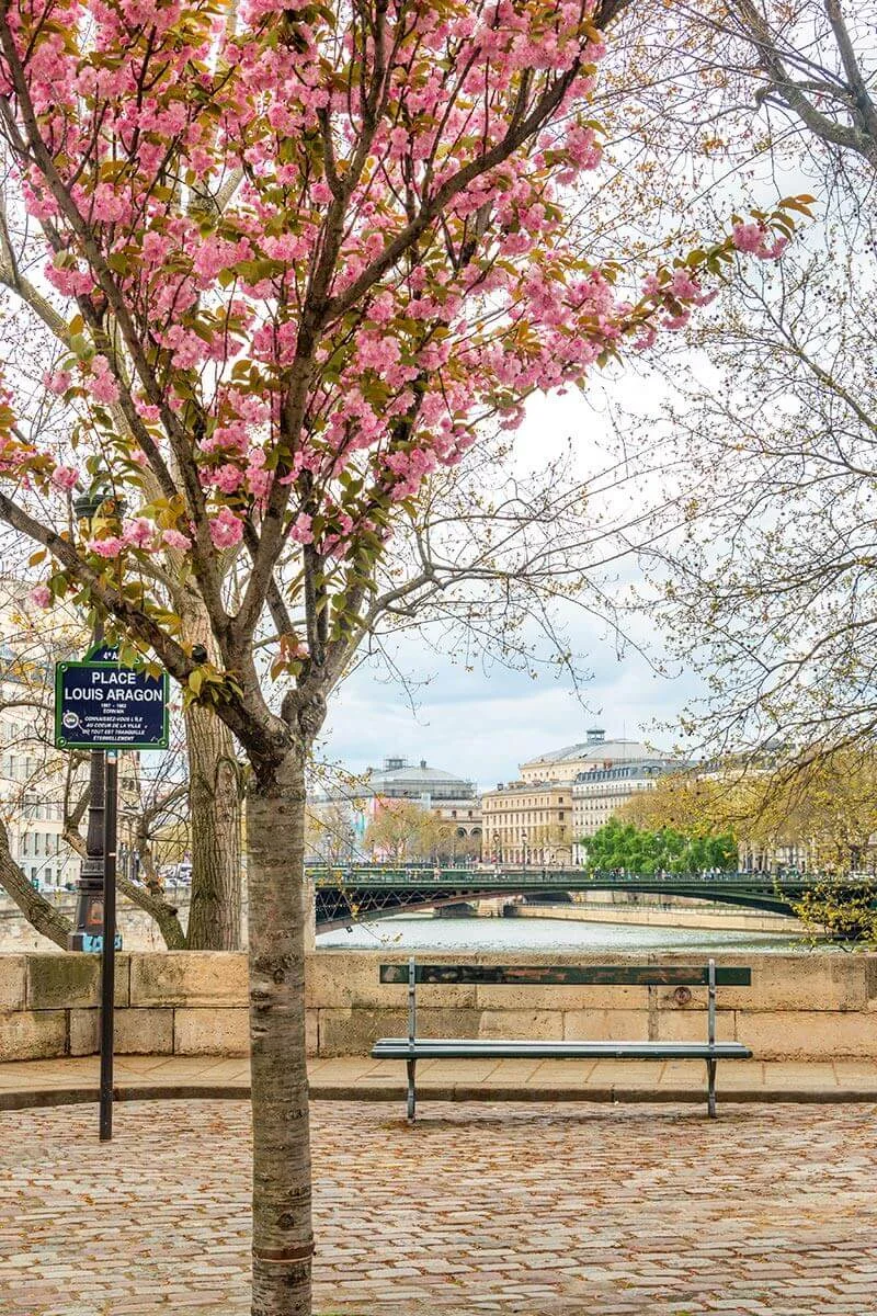 Spring-in-Paris-3.jpg