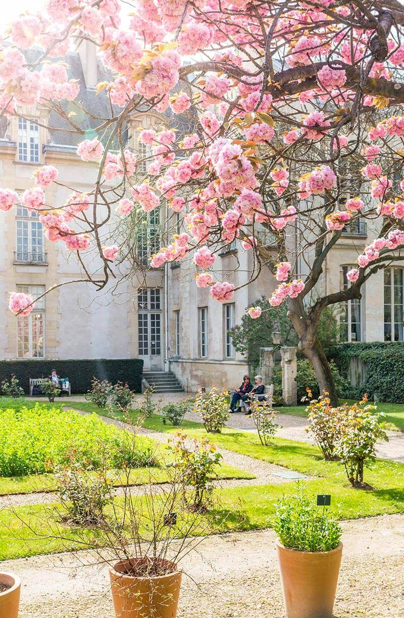 Spring-in-Paris-4.jpg