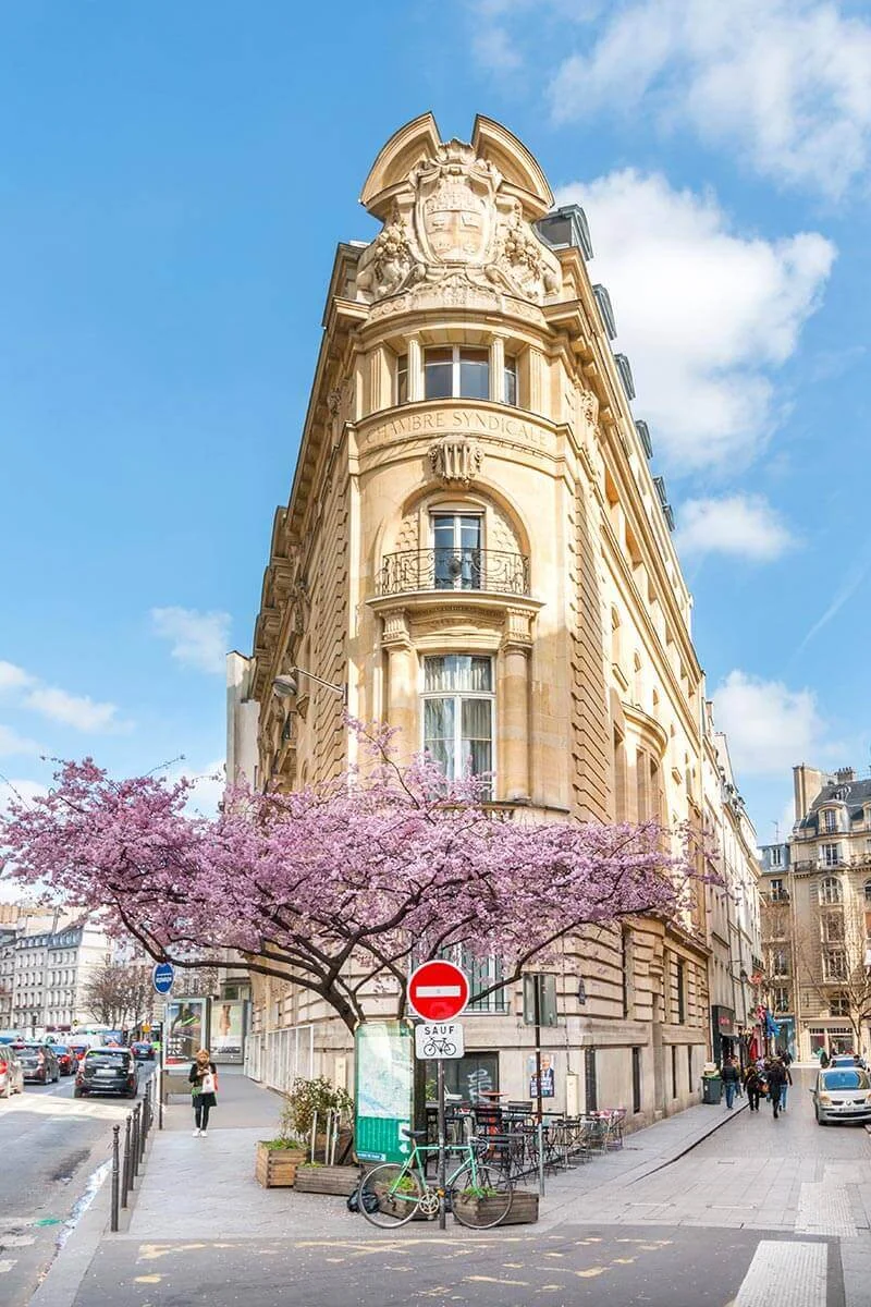 Spring-in-Paris-6.jpg