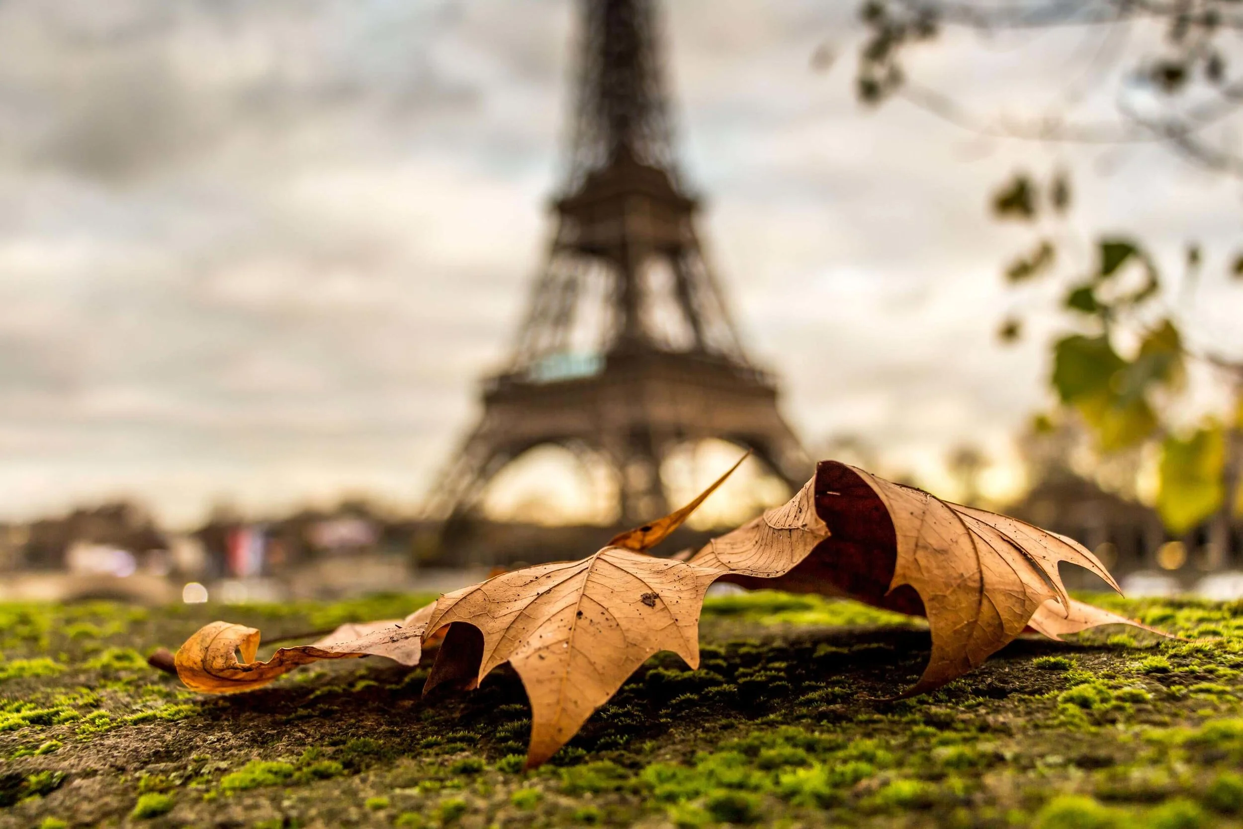 Autumn-in-Paris-4.jpg