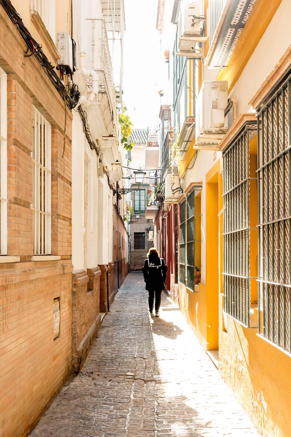 Colorful Streets of Seville