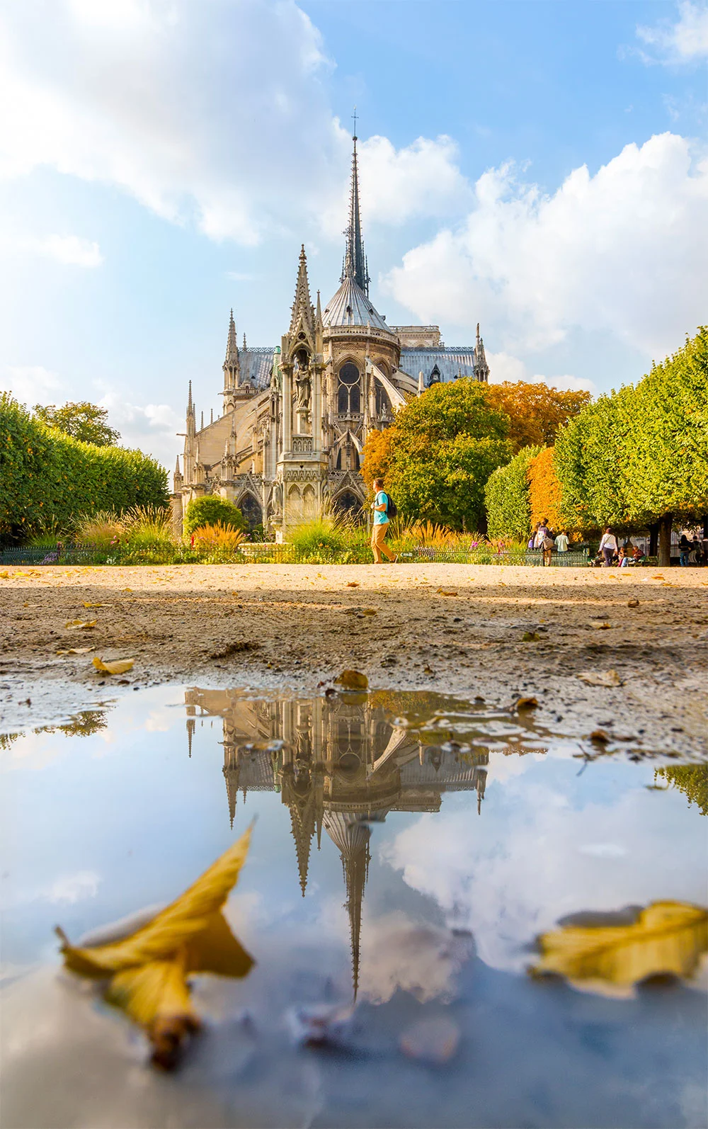 Notre-Dame de Paris Reflection