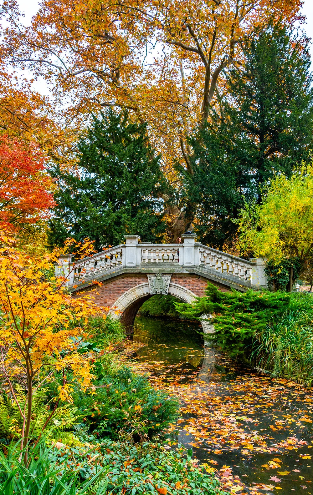Autumn in Paris