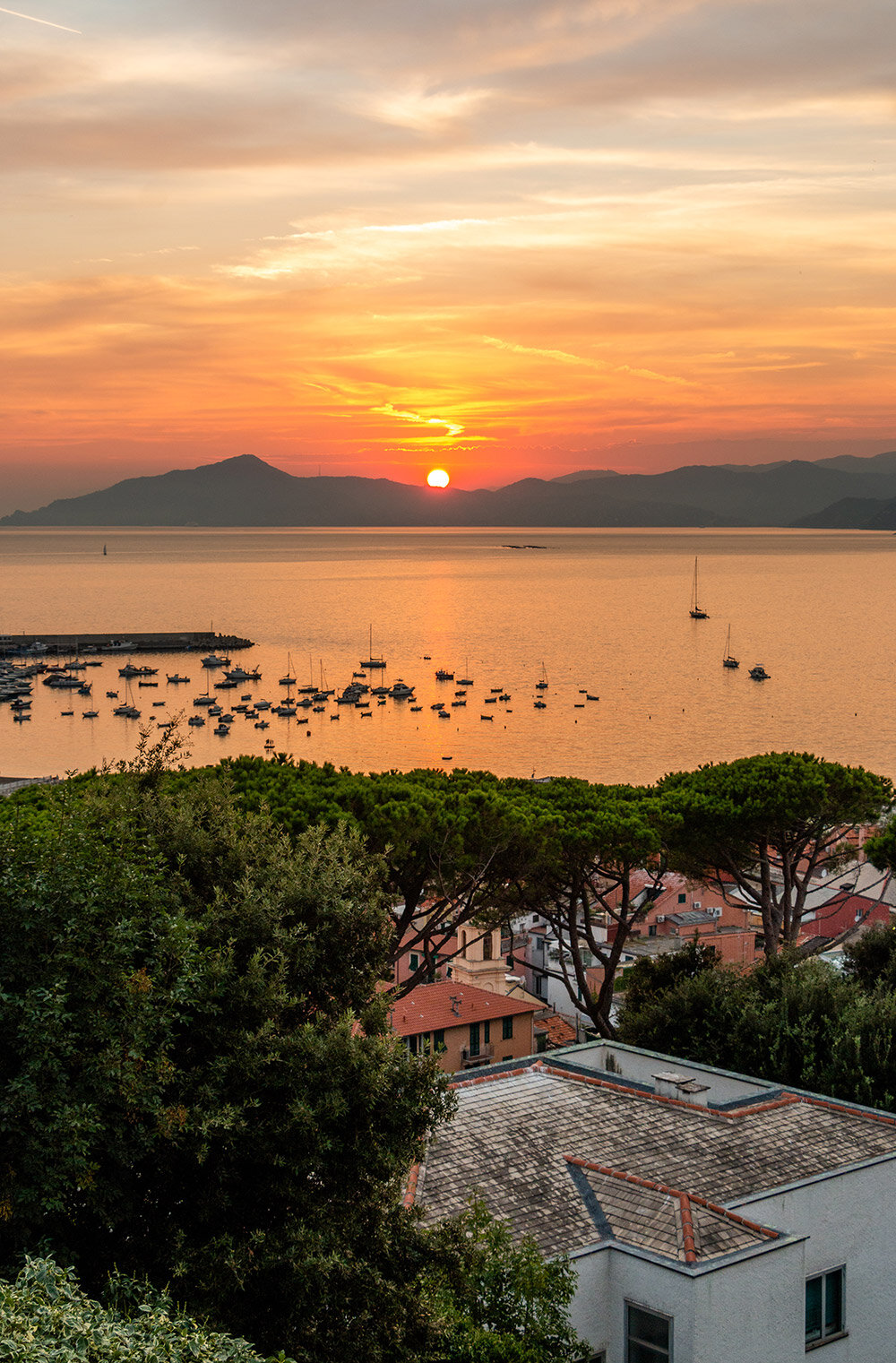 Cinque Terre and the surrounding - Paris Photographer