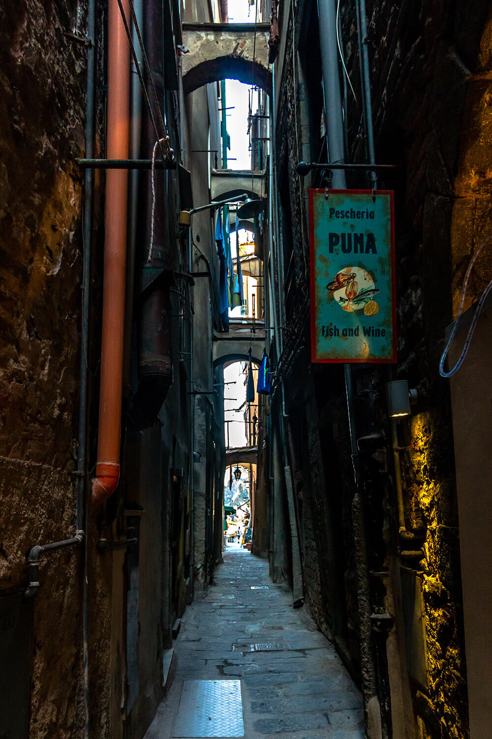 Narrow Street in Vernazza