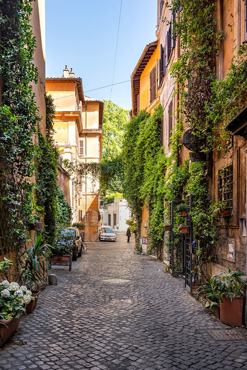 Lush Street in Rome