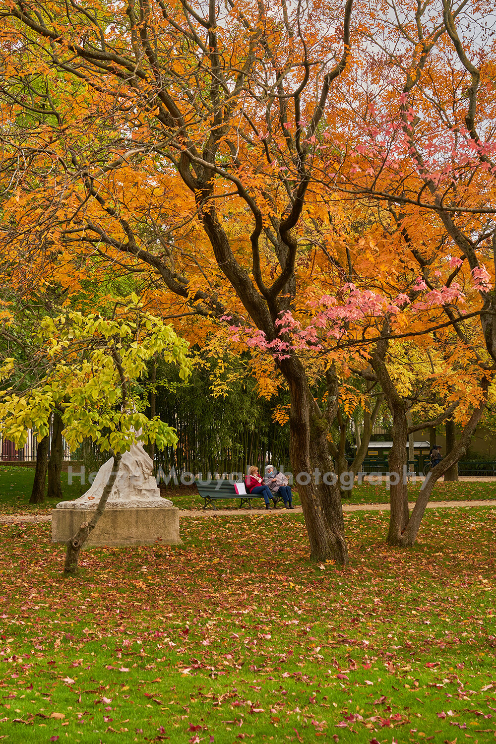 Autumn at the Luxembourg Gardens