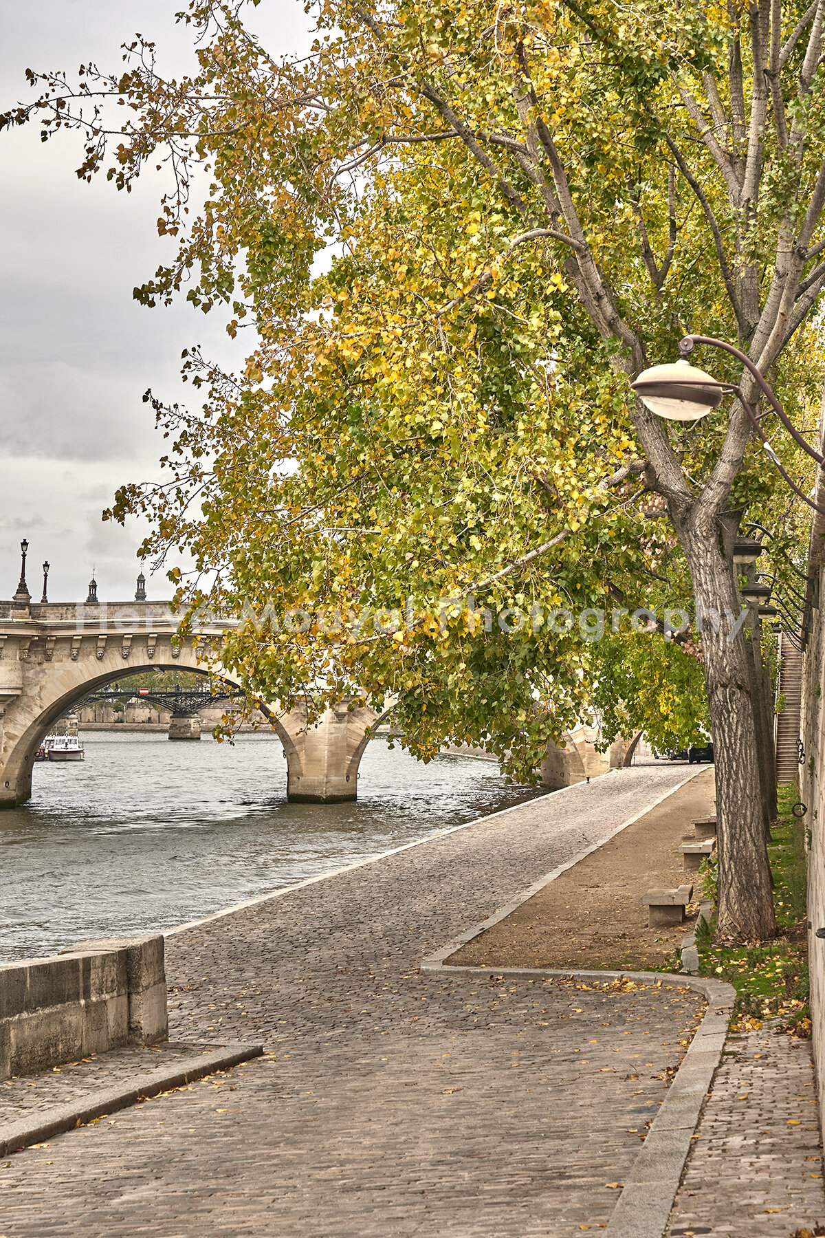 Paris Seine Banks