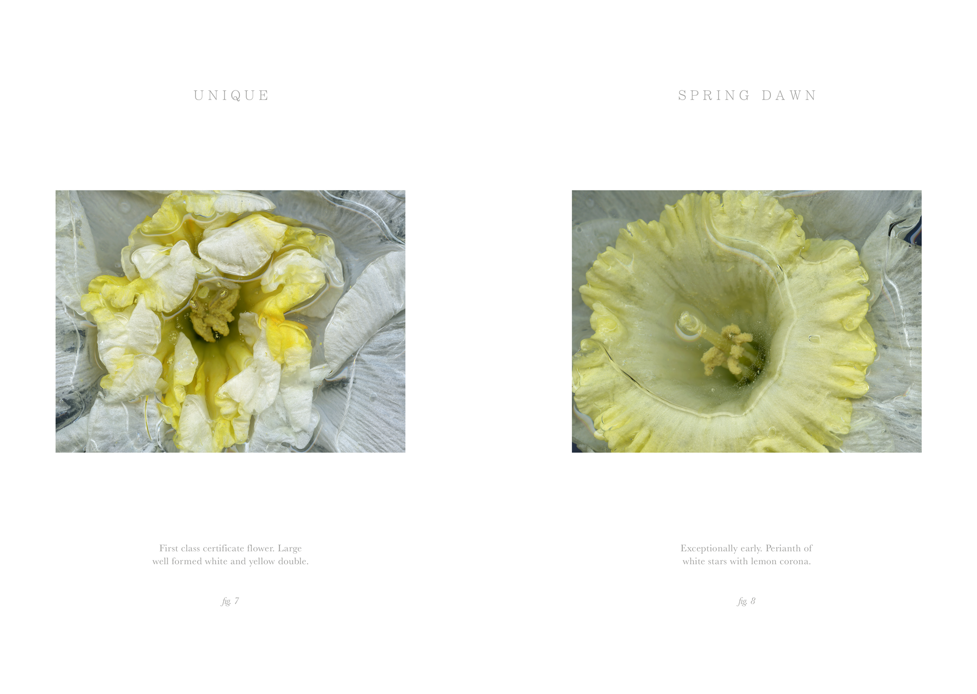 midas-touch-08.png