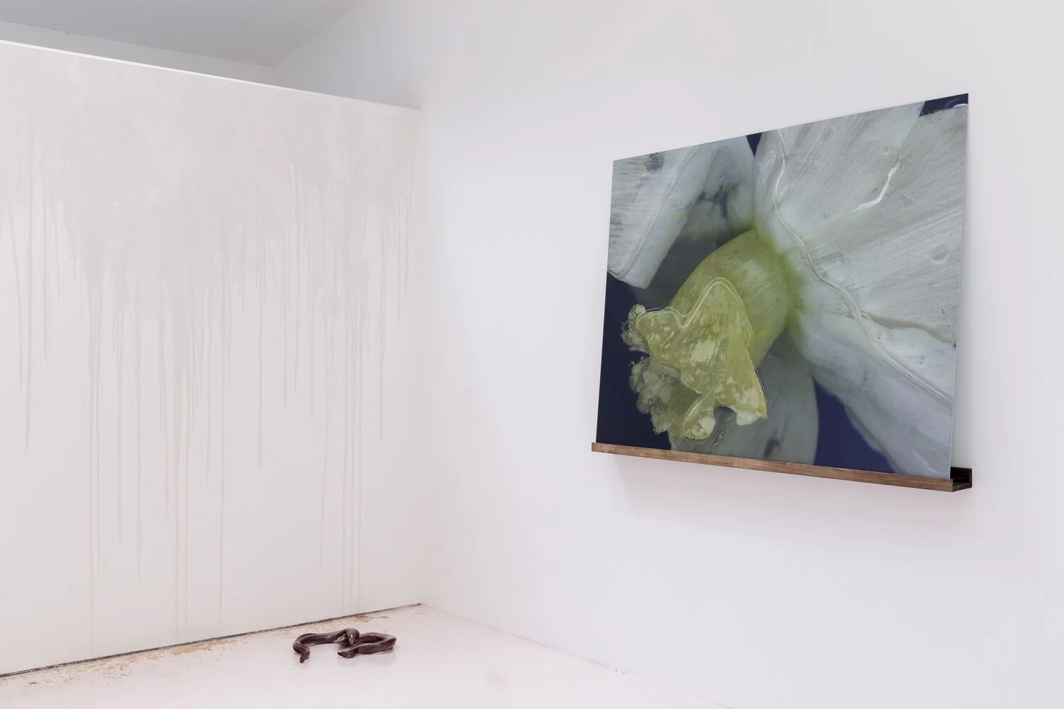 'Ripe' , Kingsgate Project, London 2017