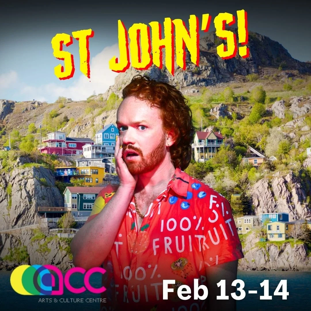 The Heterosexuals in St John's