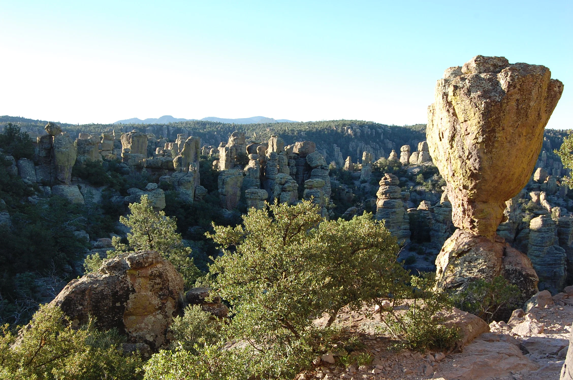 Field Study: Chiricahua Mountains