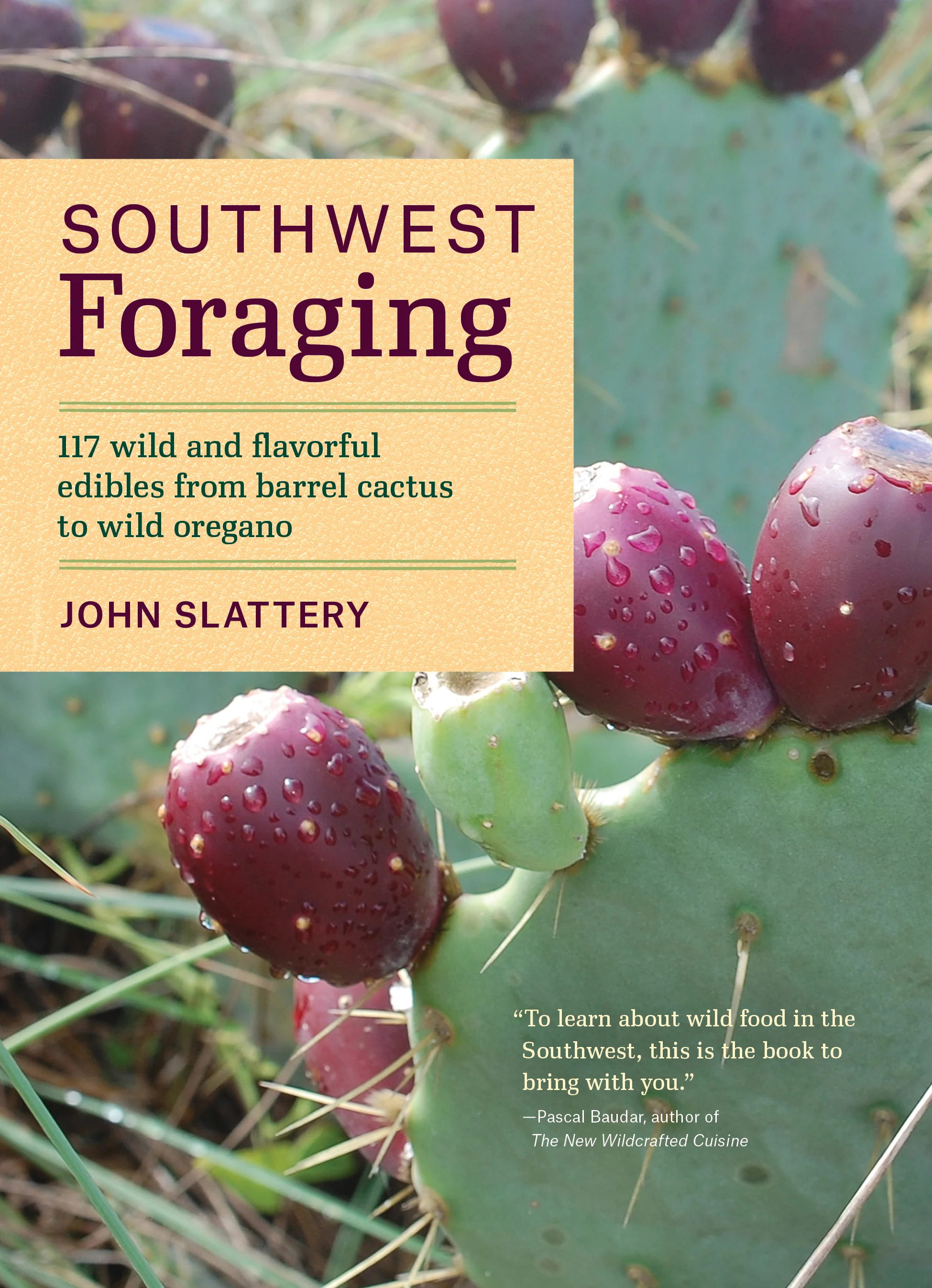 Wild Food Foraging in the Sonoran Desert