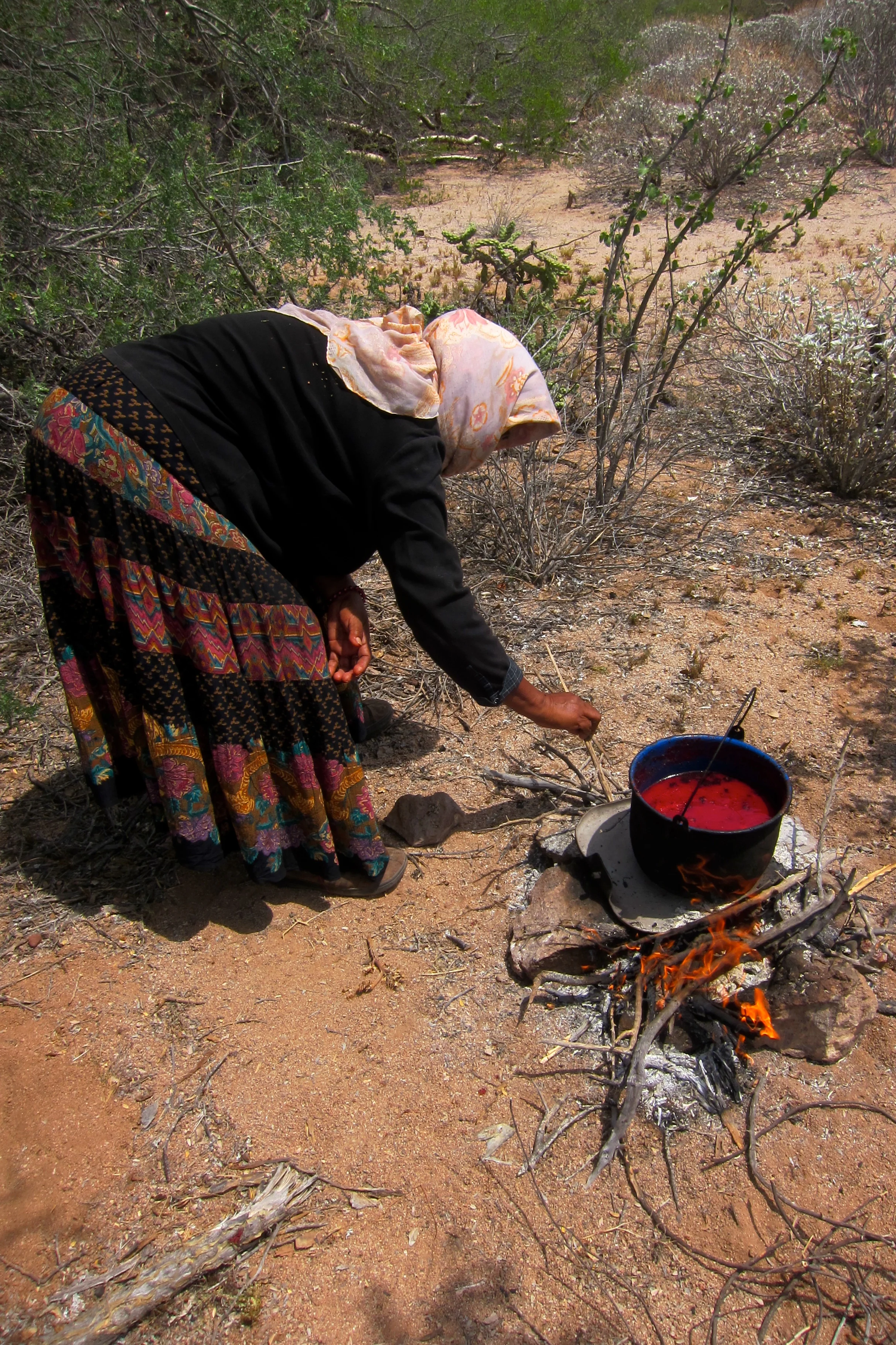 Hortensia stirring pitaya syrup on a previous excursion