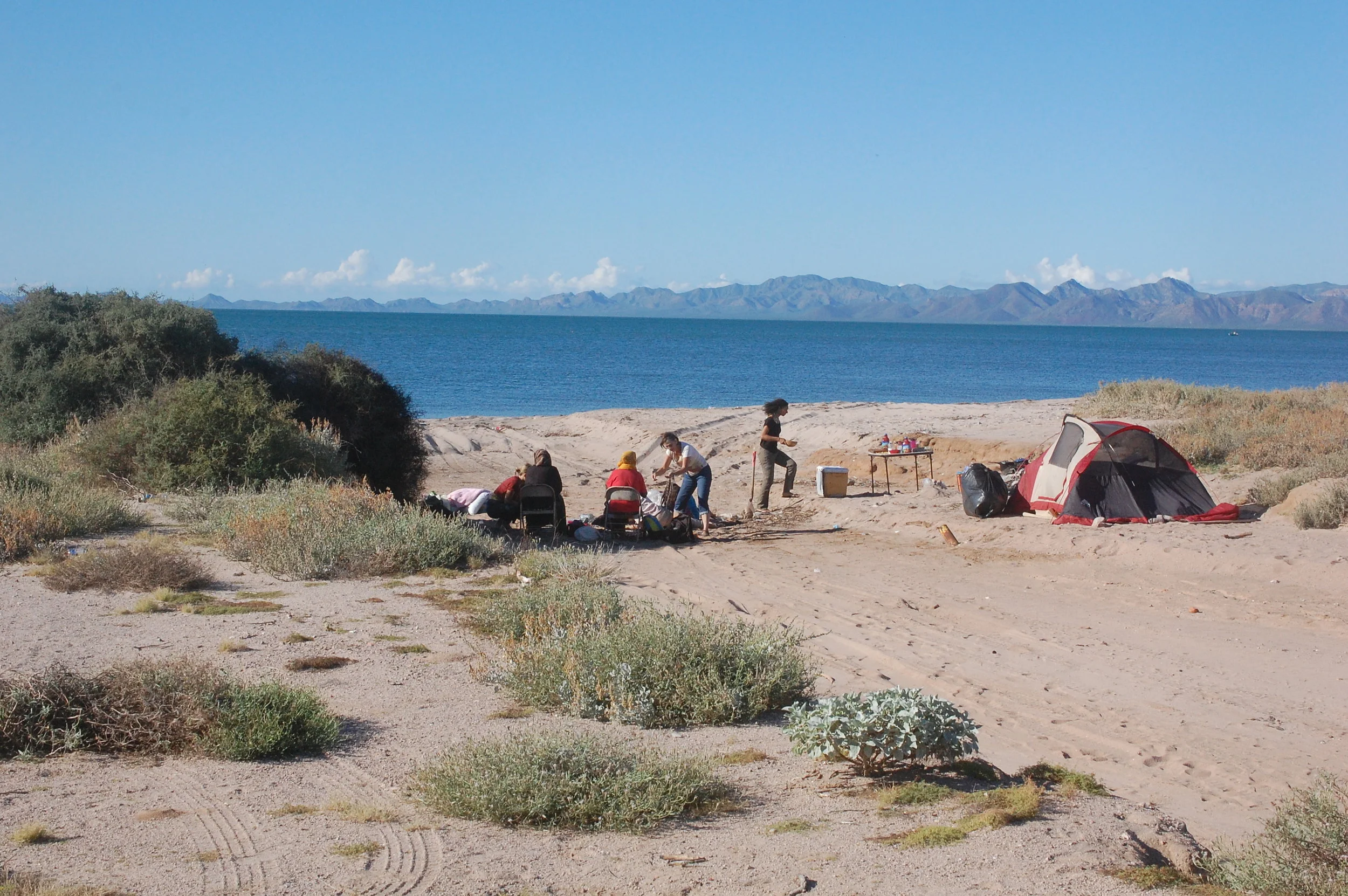 Sonoran Ethnobotany Trip