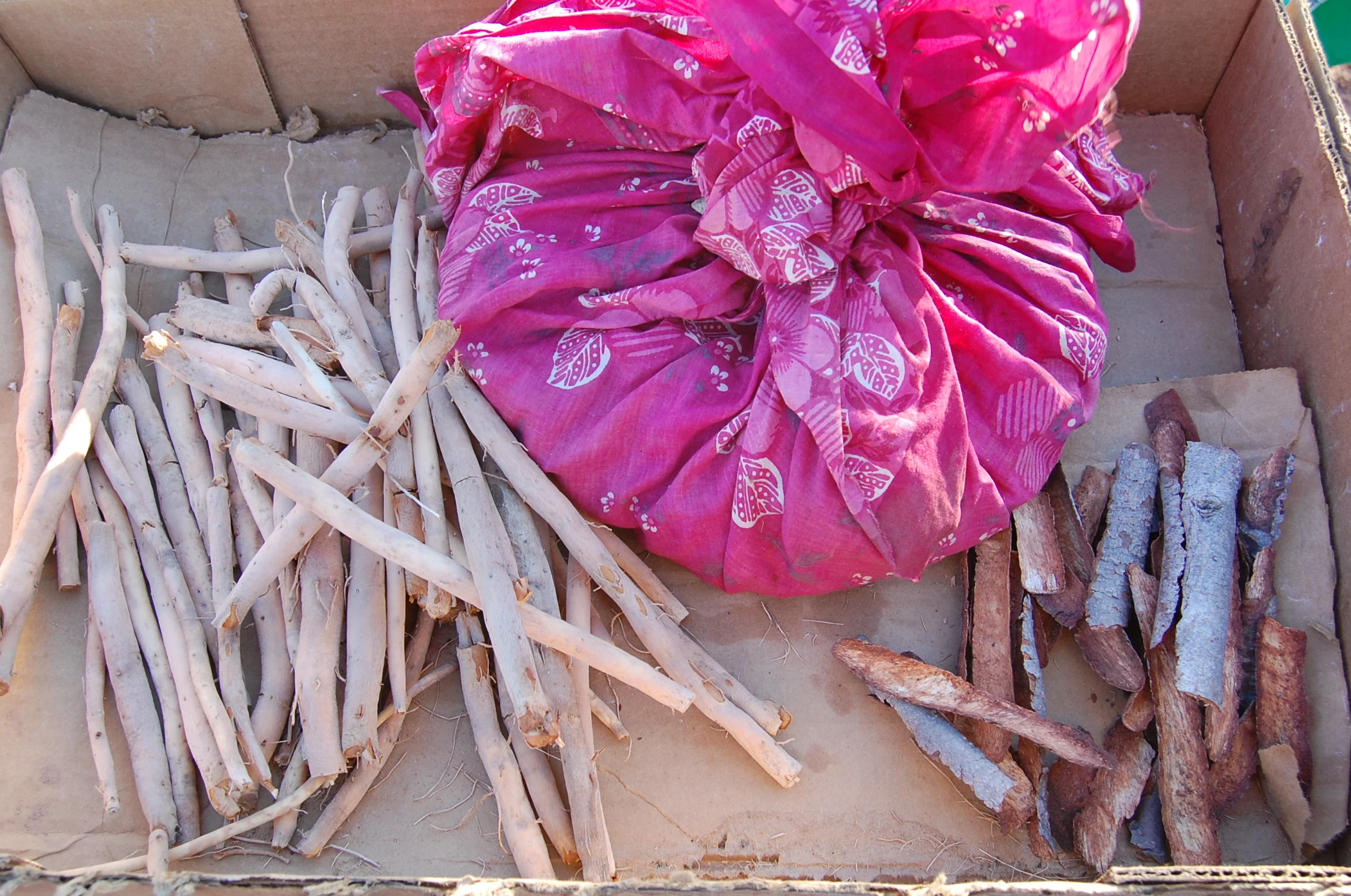 Sonoran Ethnobotany Trip - Deposit
