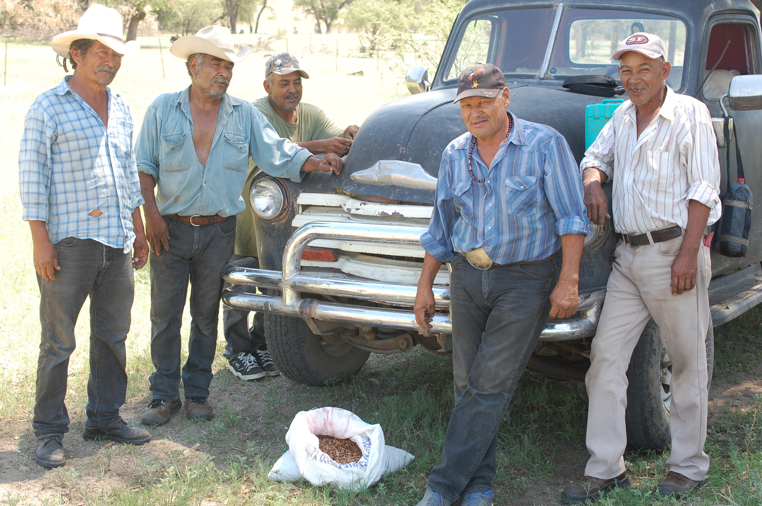 Pajareros Belloteros de Sonora