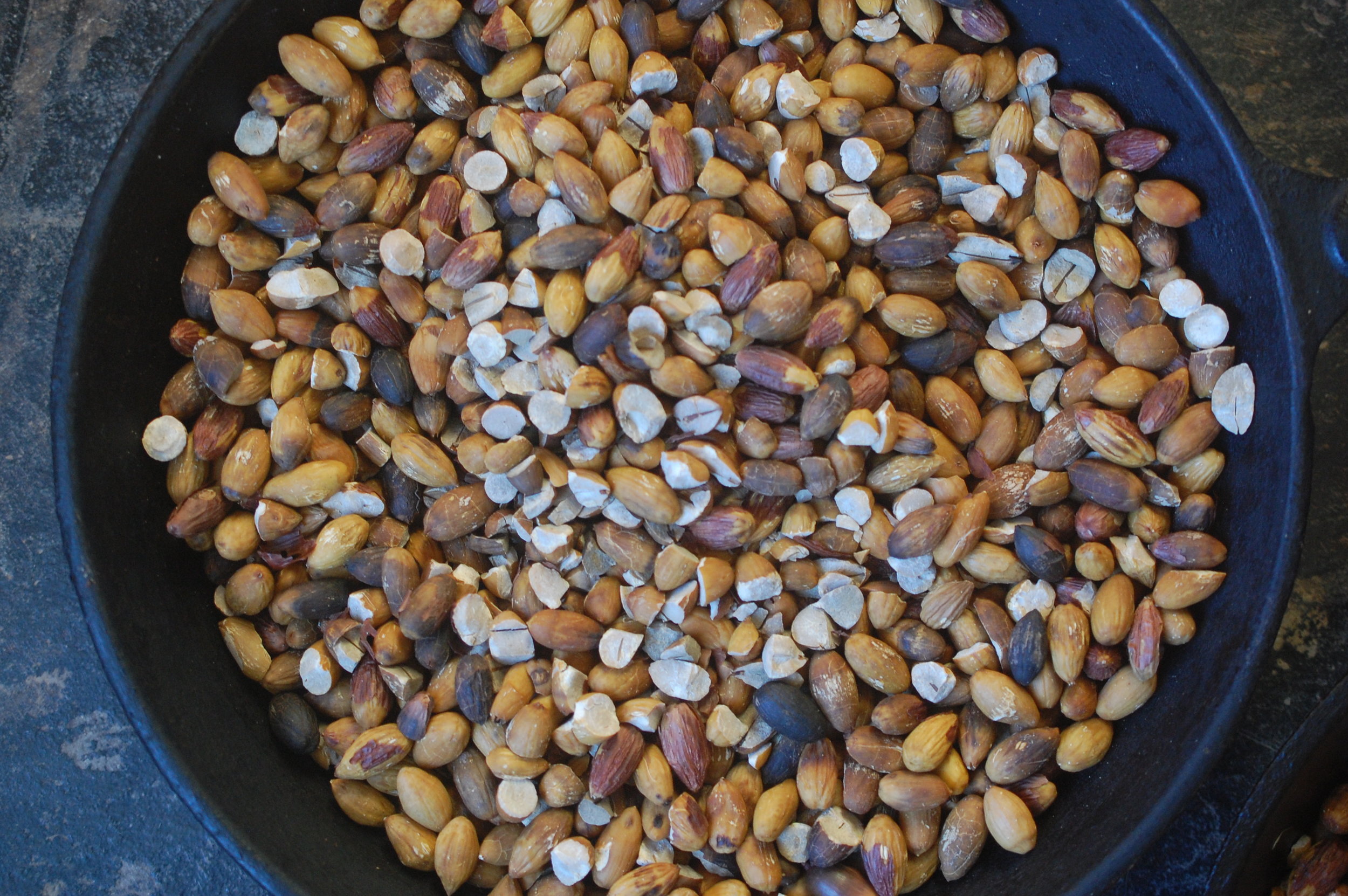 Winter Count: Processing Acorns for Food