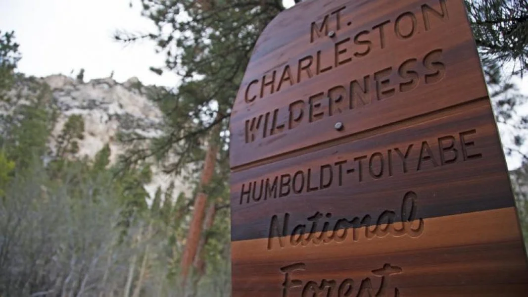 mt charleston toyaibe NF.jpg