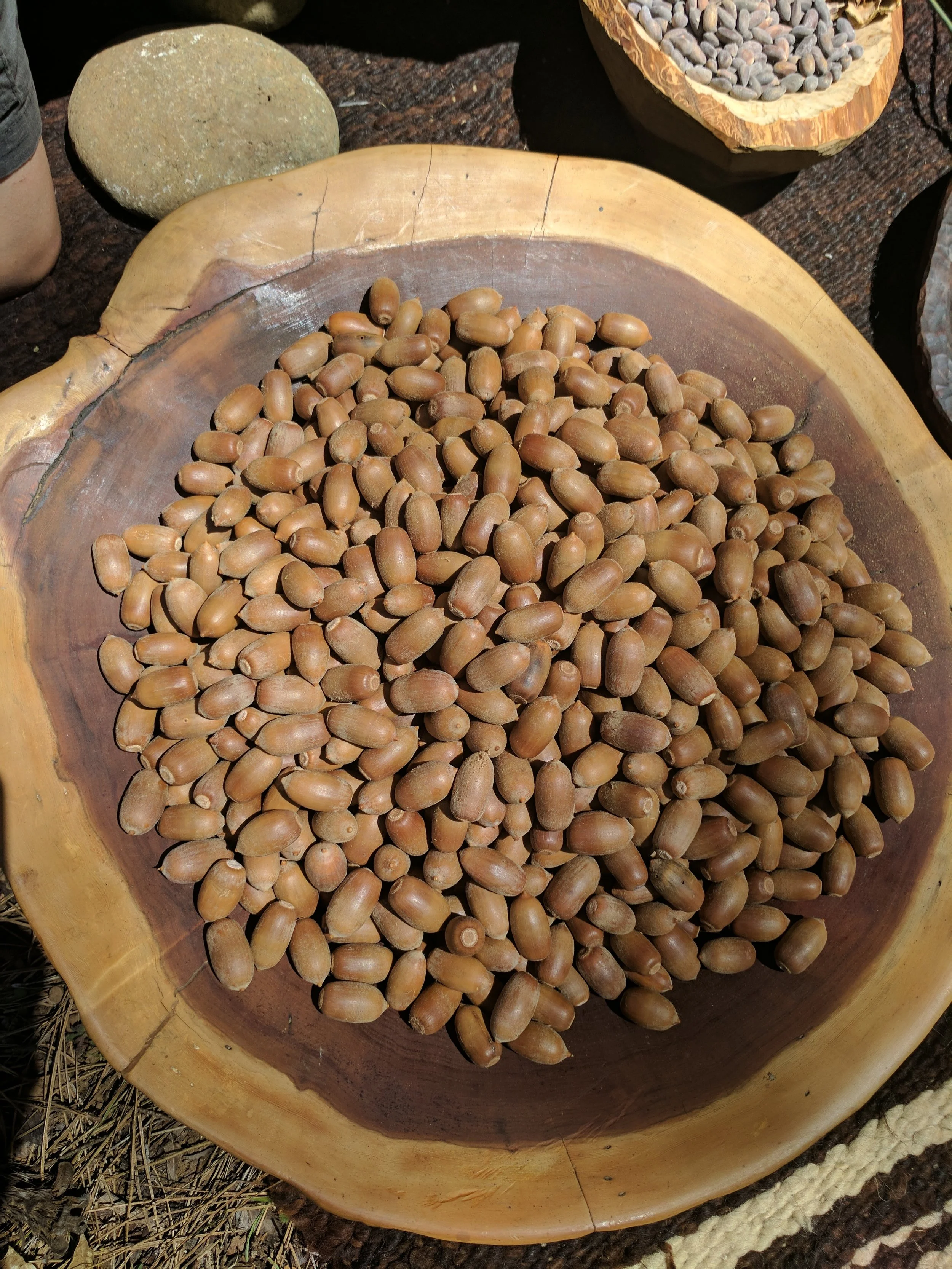 Buckeye Gathering - Bealtaine