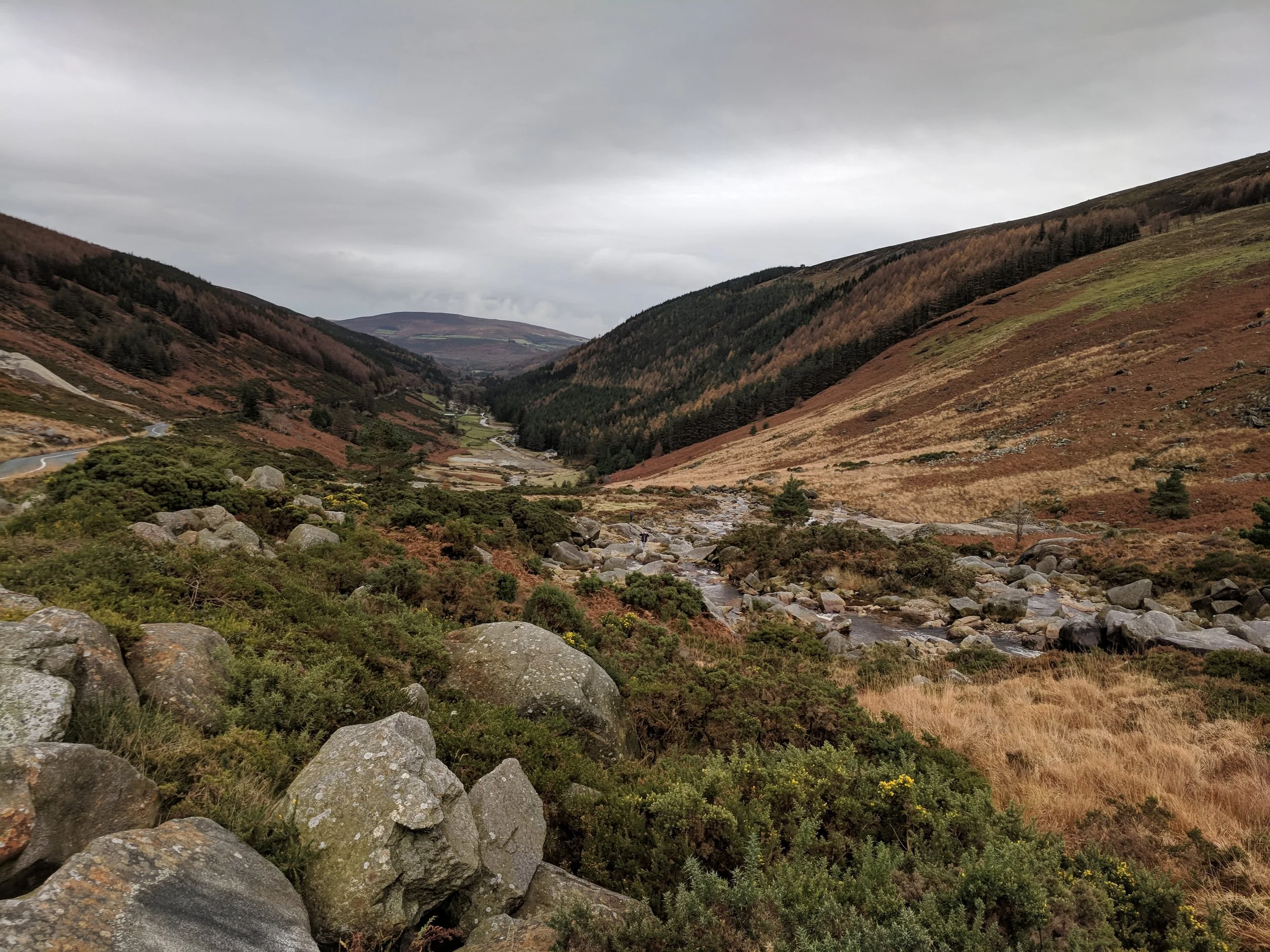 Reconnecting to our Ancestry through Nature: An Herbalist’s Adventure Rewilding our Spirit through Intimacy with the Land