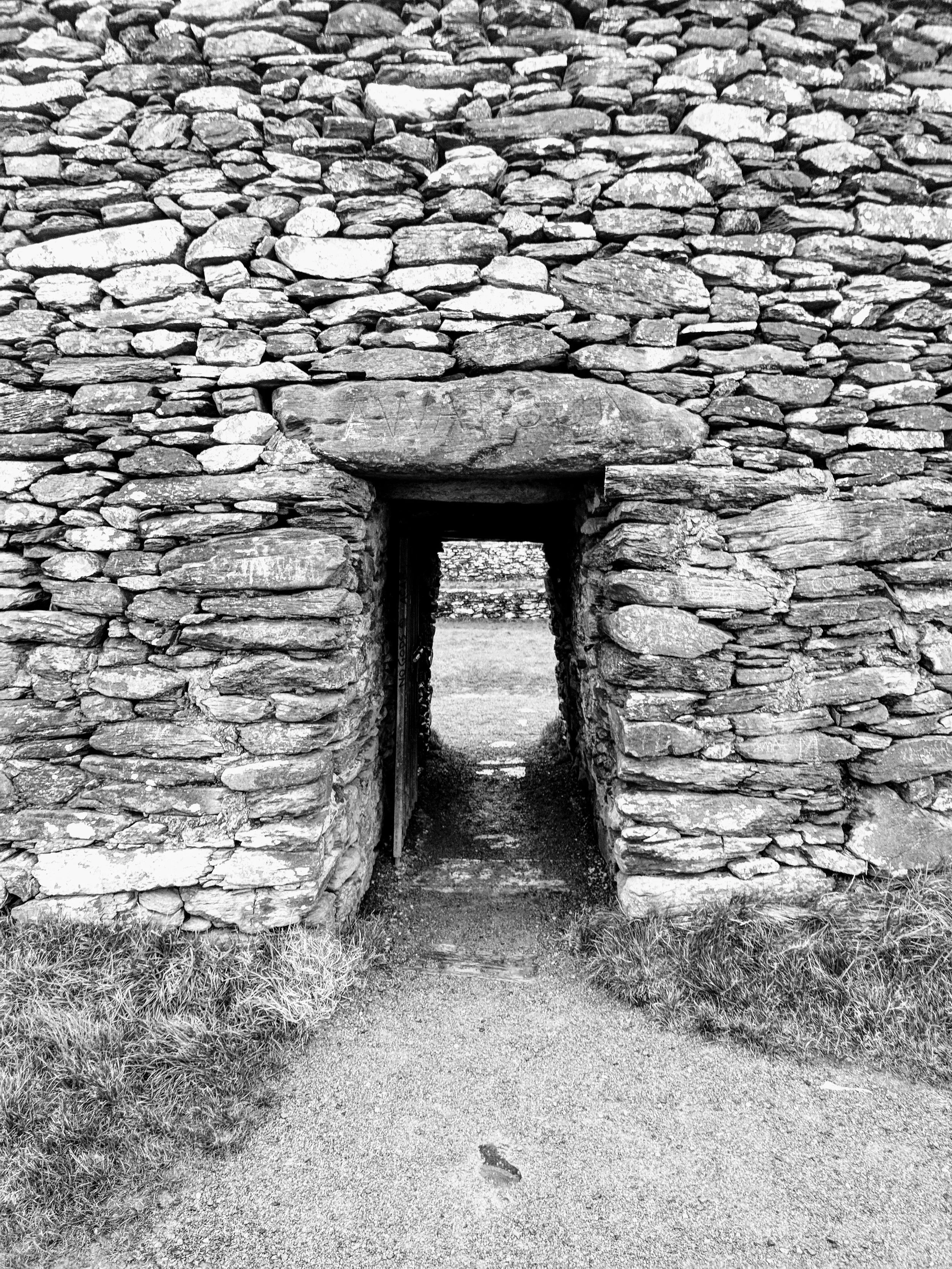 Ancestral Healing &amp; the Wildness within Us