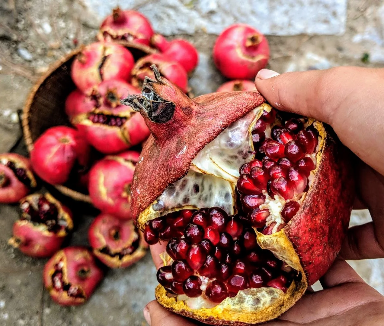 All About Pomegranate