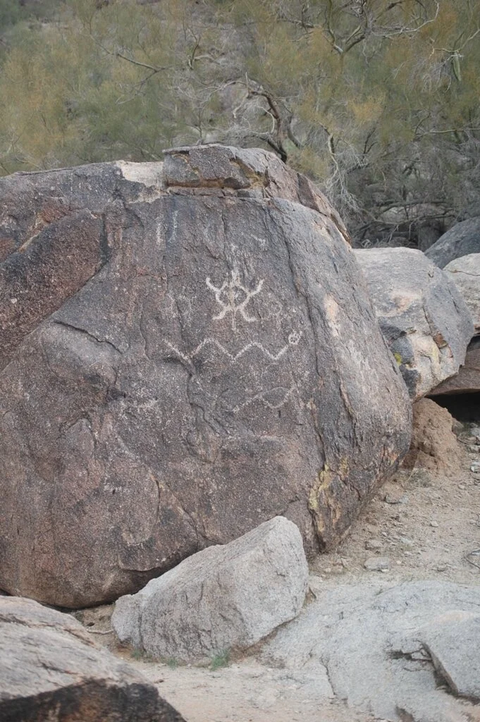 Medicinal Plant Walk - Phoenix, AZ