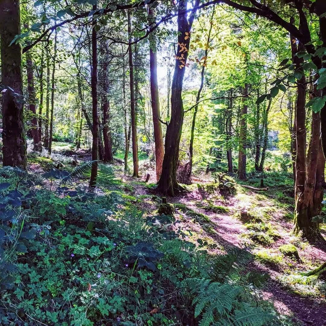 Bioregional Herbalism - France