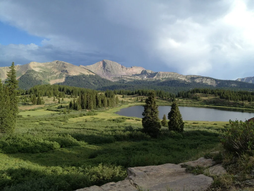 Virtual Plant Walk - Rocky Mountains