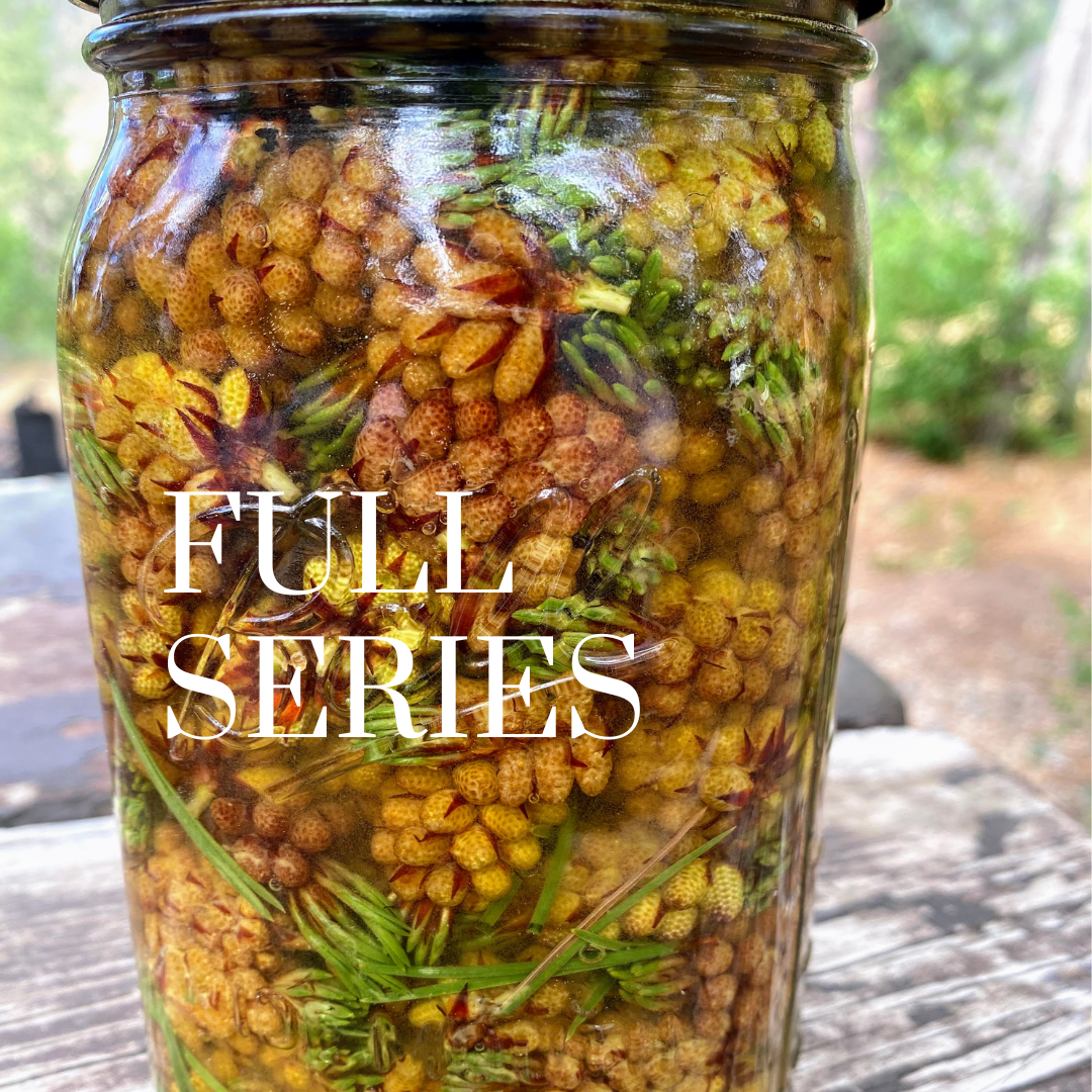 Vitalist Plant Energetics - Full Series