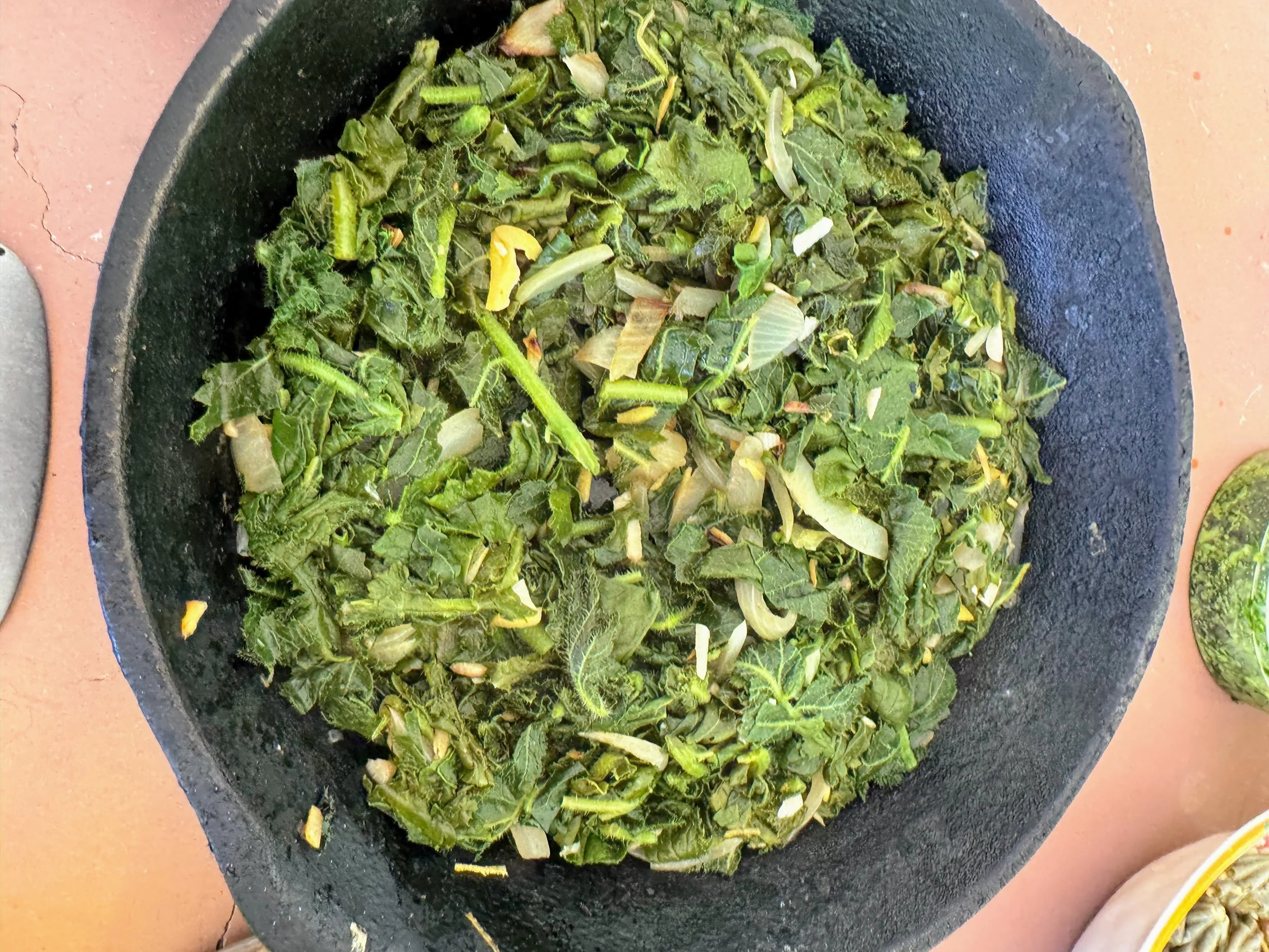 Foraging Workshop: In the Field Rio Verde - April 26 (SPONSOR FEE)