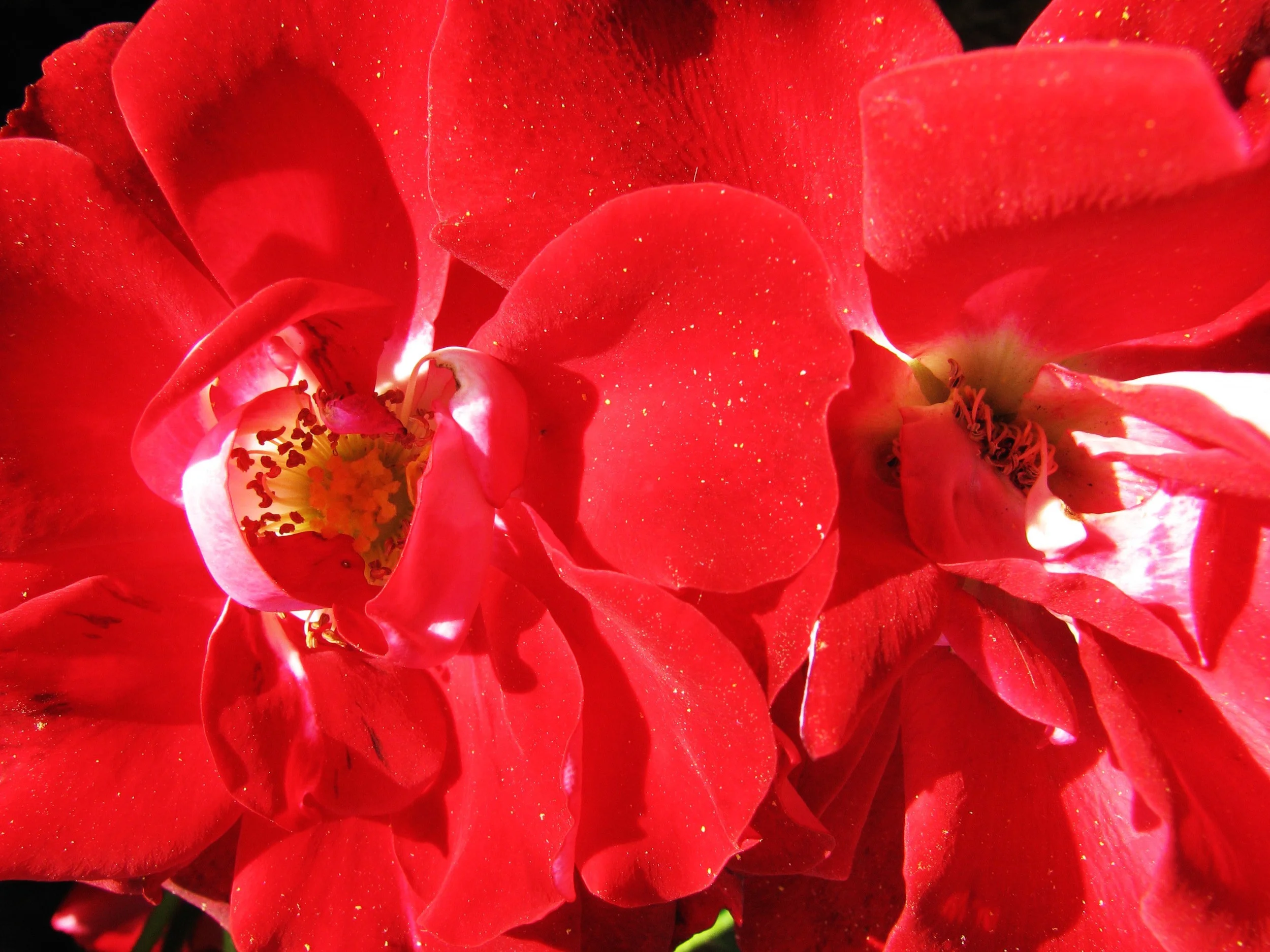 Paris Program #1 280.JPG